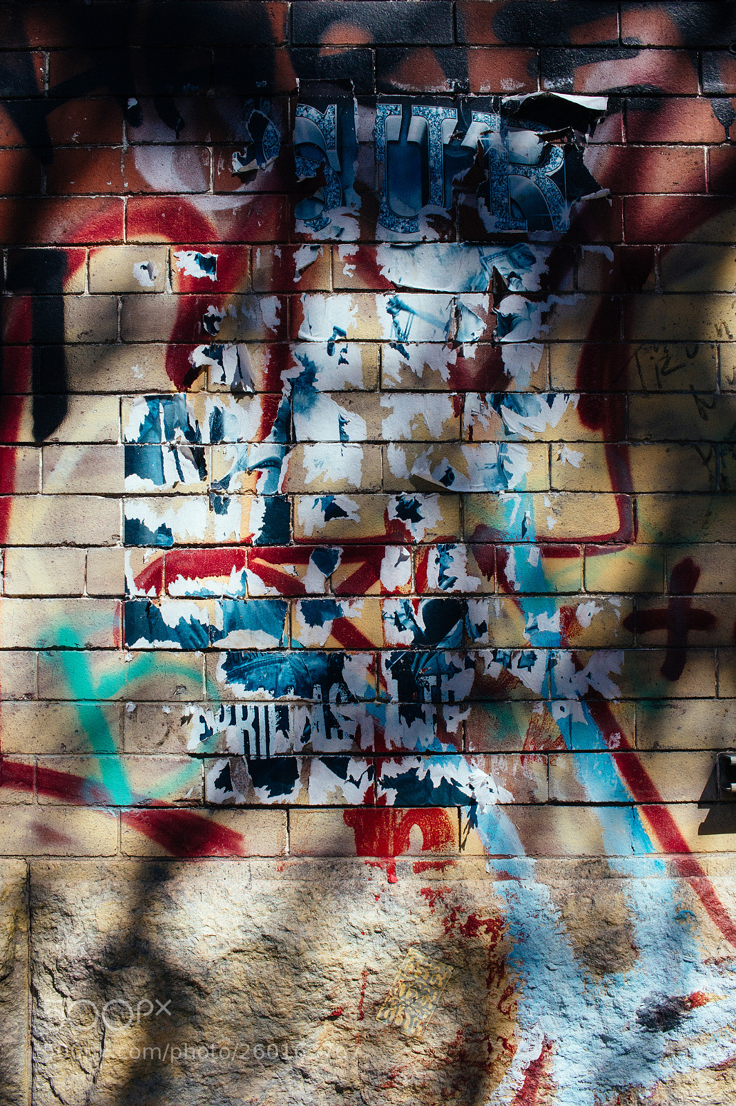 Canon EOS 70D sample photo. Untitled photography