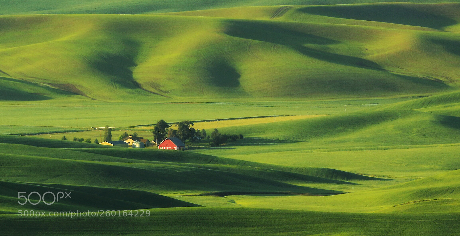 Canon EOS 50D sample photo. The rolling hills of photography