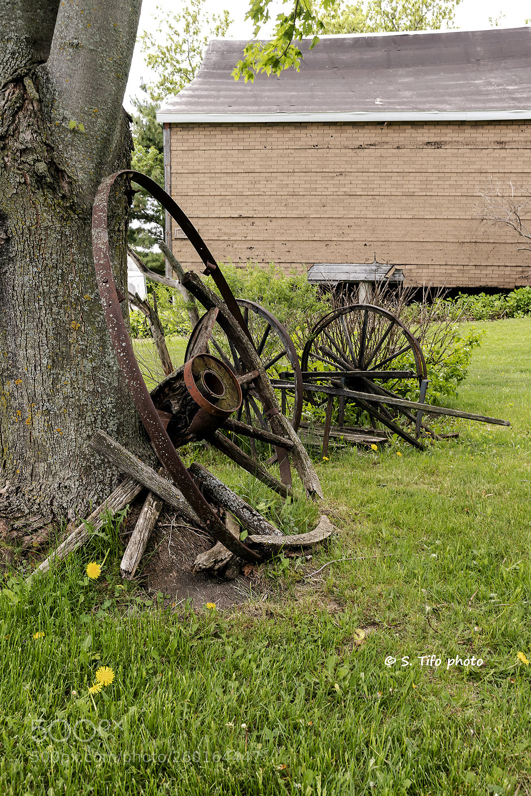 Canon EOS 6D Mark II sample photo. Old wheel .. photography