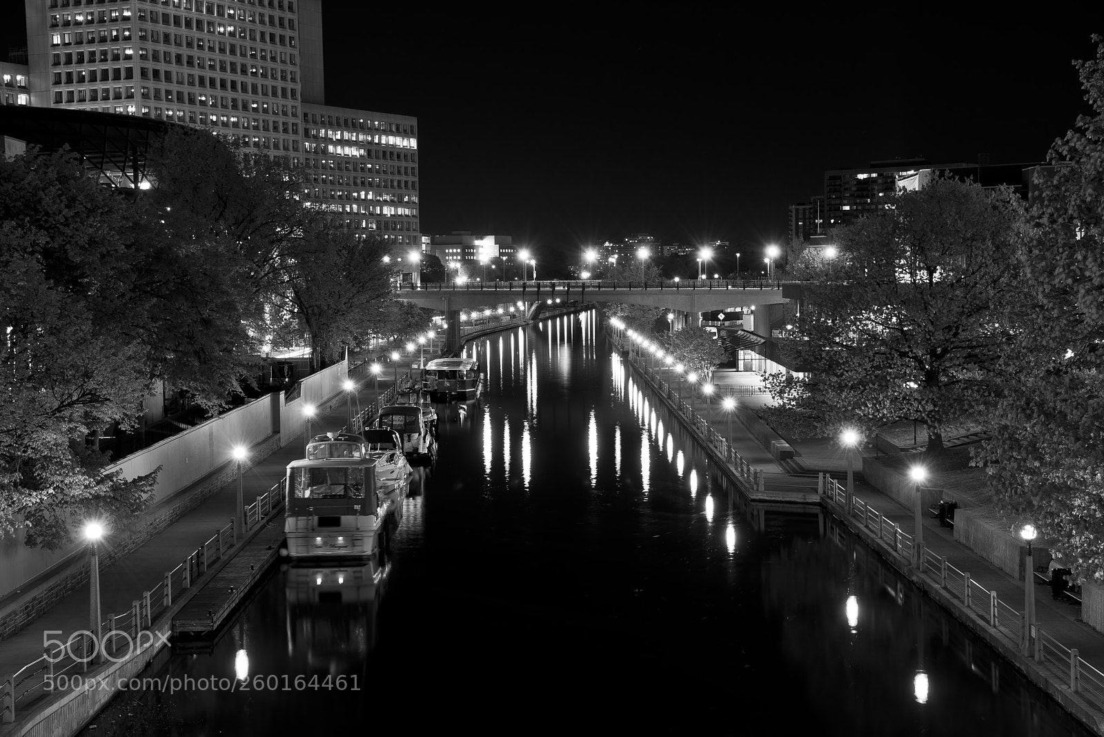 Nikon D800 sample photo. Canal rideau b&w photography