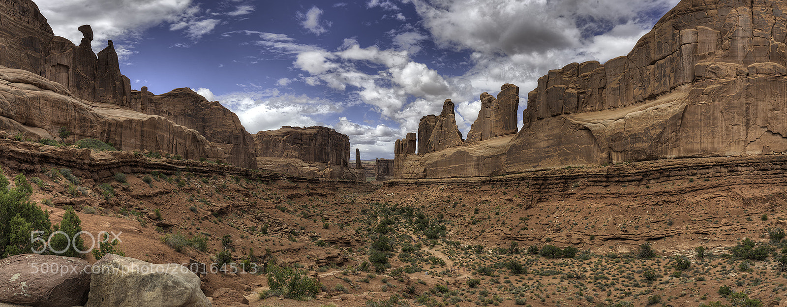 Nikon D850 sample photo. Park avenue panorama photography