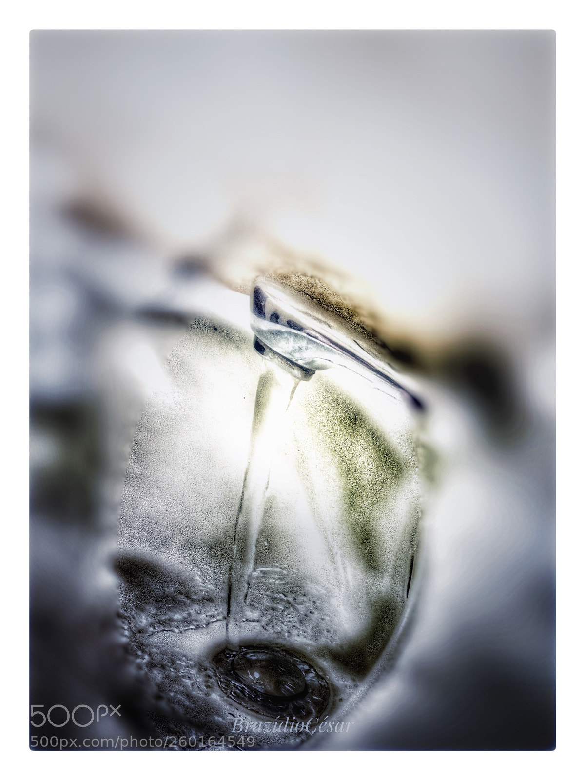 Apple iPhone 6s sample photo. Untitled photography