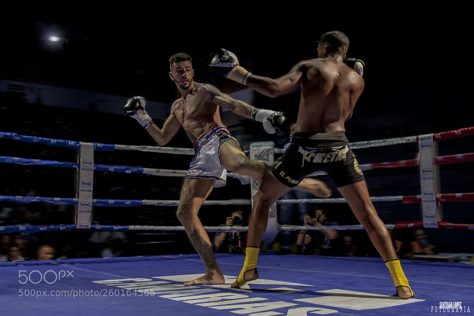 Canon EOS 5D Mark II sample photo. Fight photography