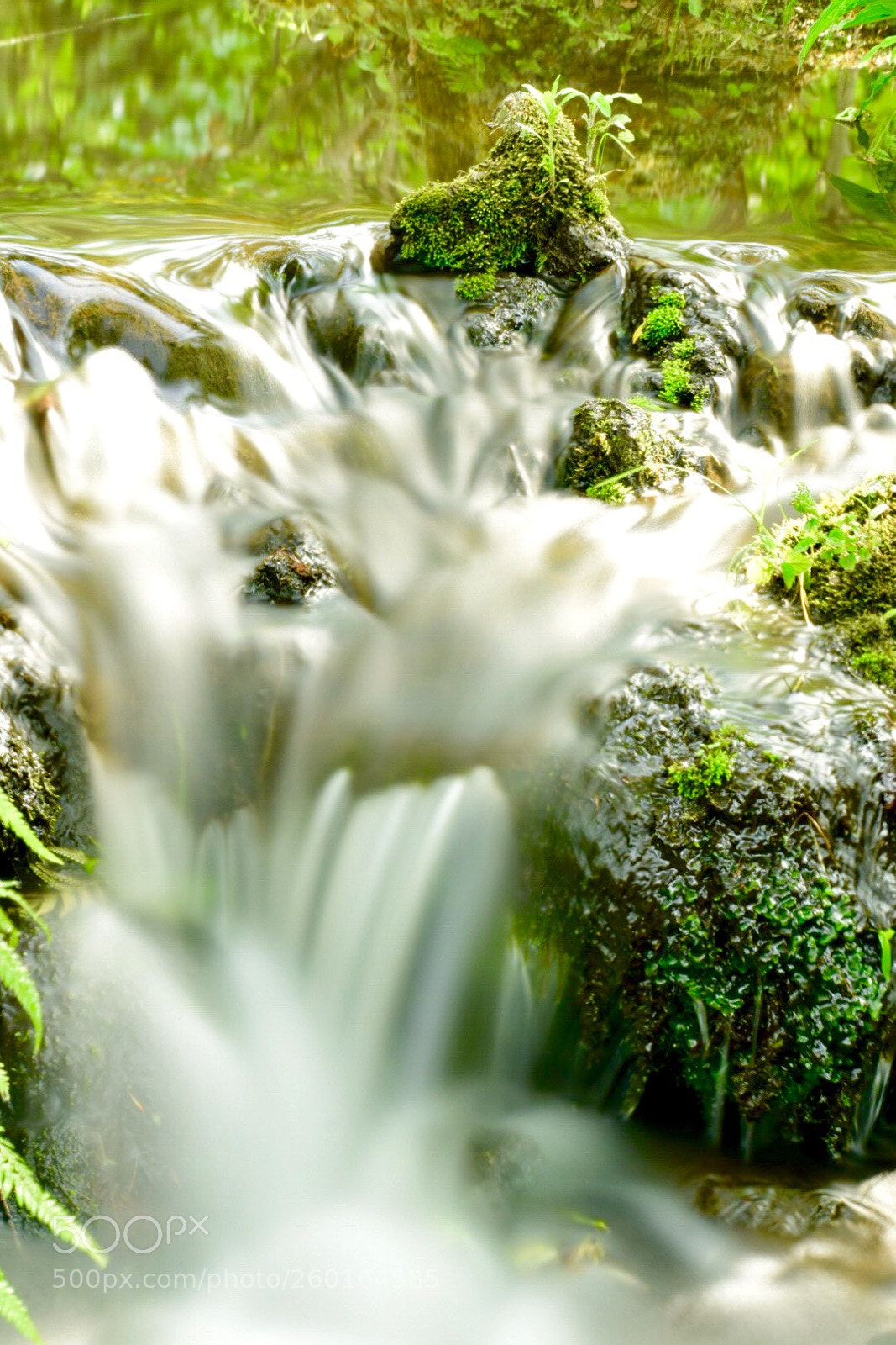 Nikon D5300 sample photo. Water slider photography