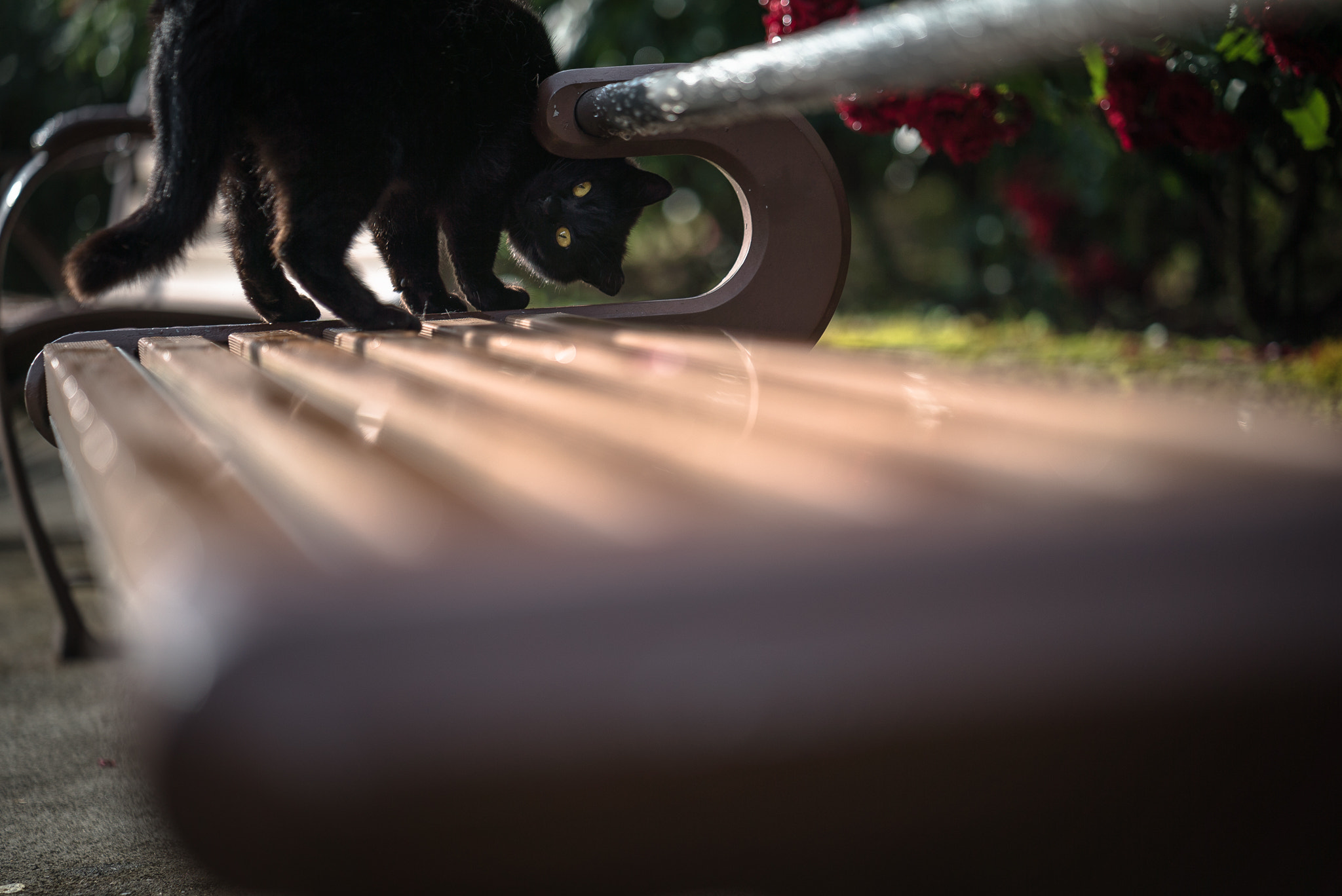 Sony a7S II sample photo. Turn around photography