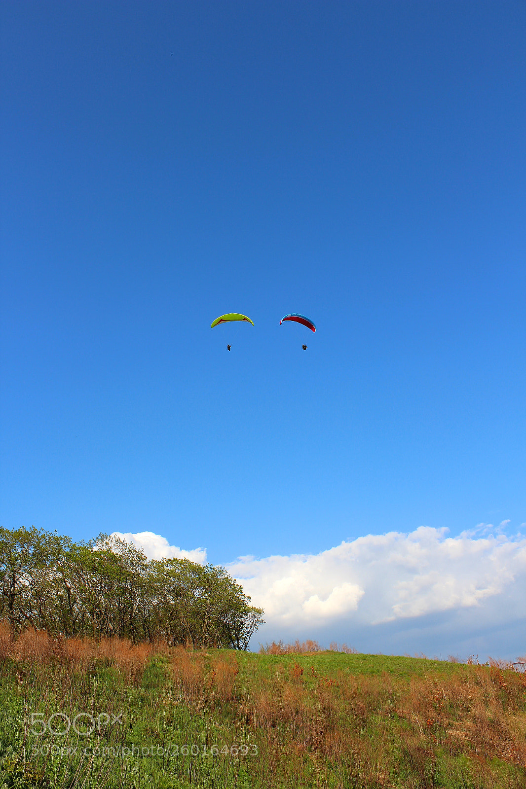 Canon EOS 600D (Rebel EOS T3i / EOS Kiss X5) sample photo. Paragliding photography