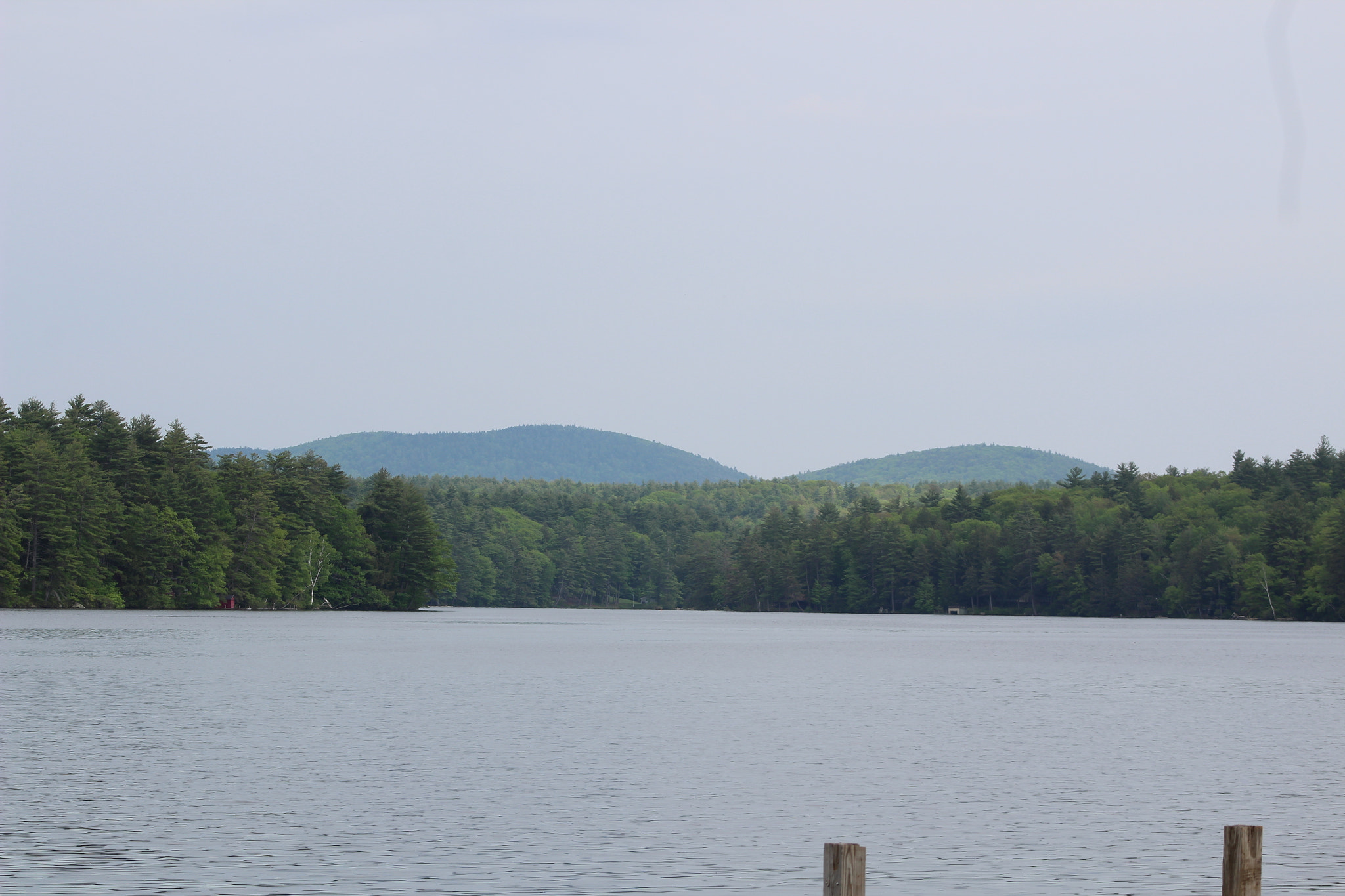 Canon EF 75-300mm f/4-5.6 sample photo. Img photography