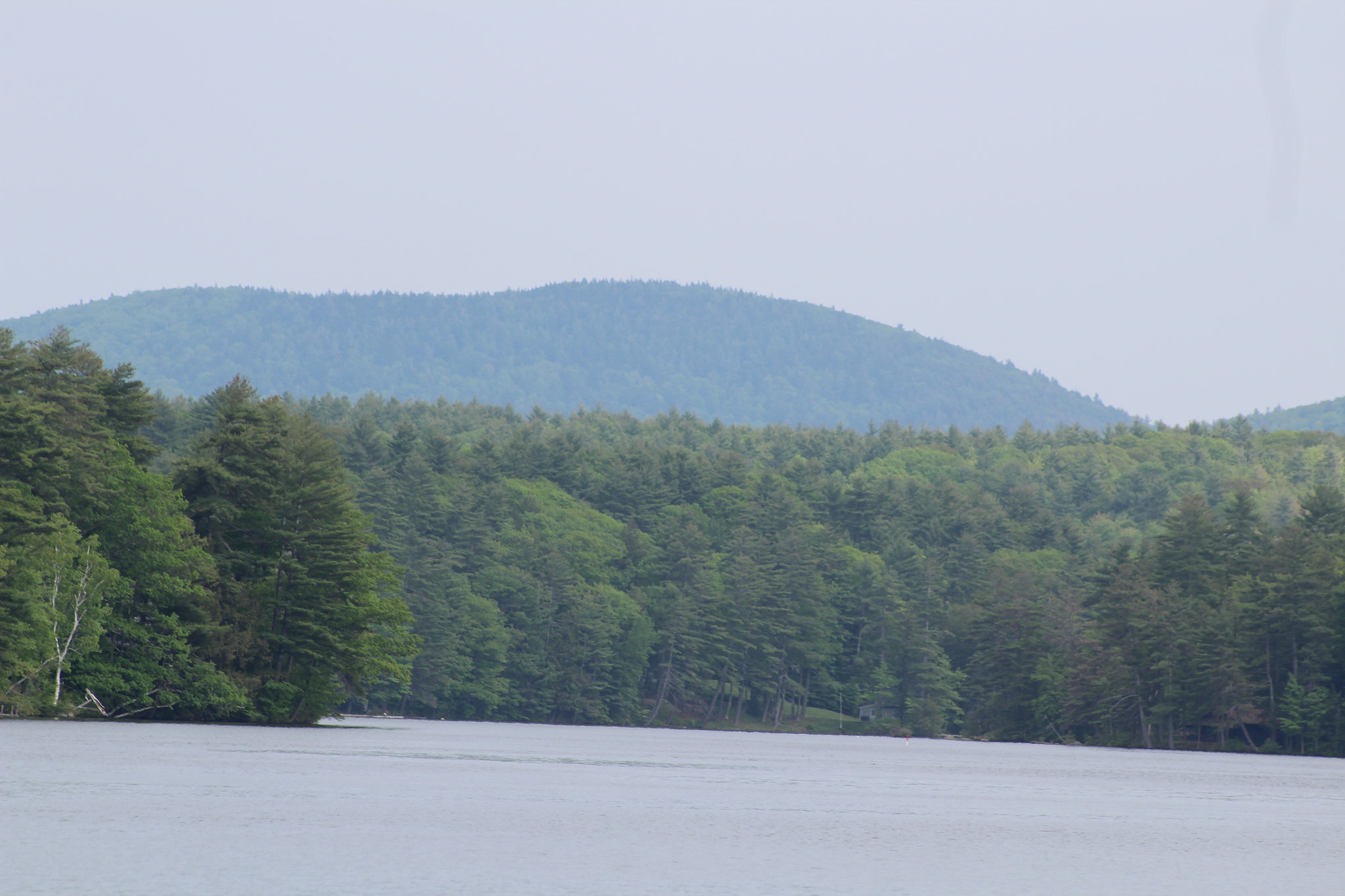 Canon EF 75-300mm f/4-5.6 sample photo. Img photography