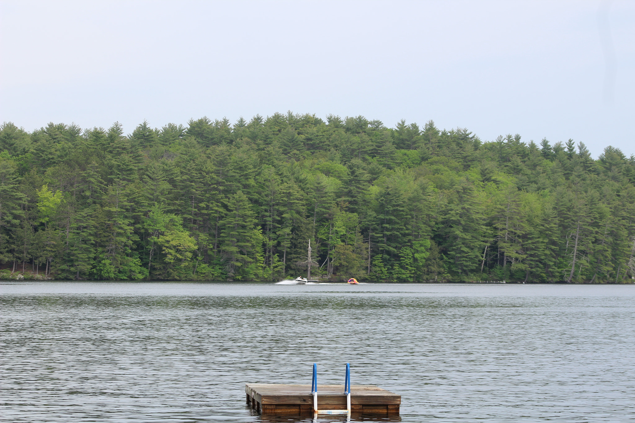 Canon EF 75-300mm f/4-5.6 sample photo. Img photography