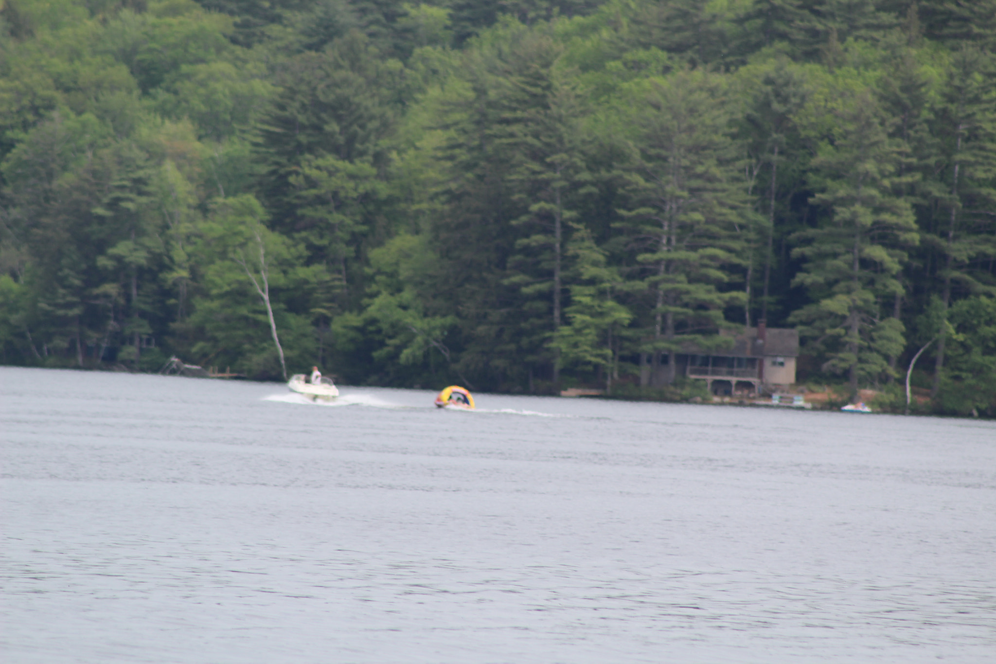 Canon EF 75-300mm f/4-5.6 sample photo. Img photography