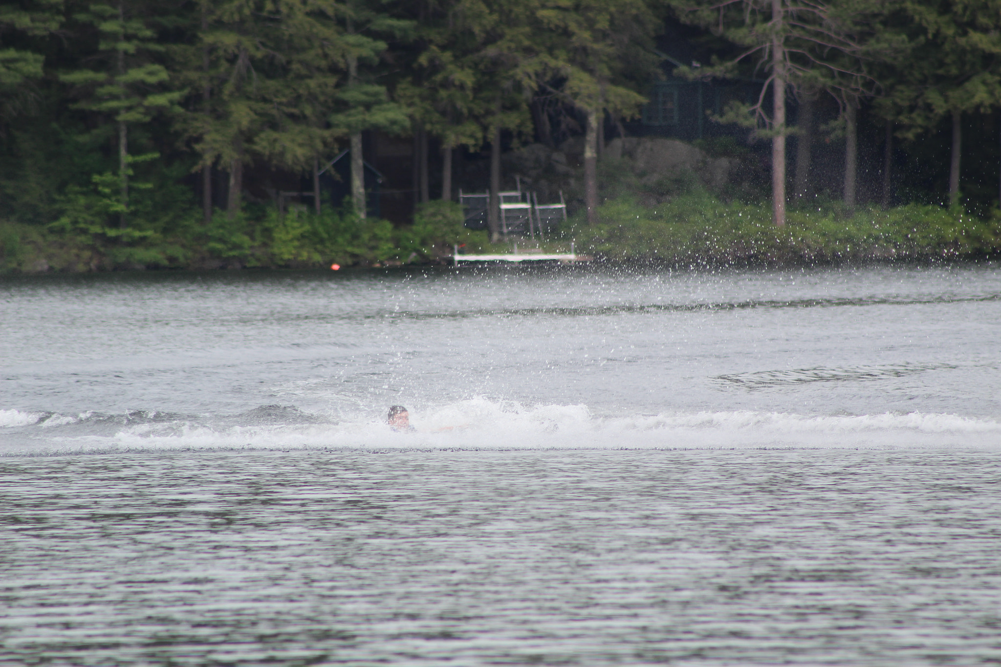 Canon EF 75-300mm f/4-5.6 sample photo. Img photography