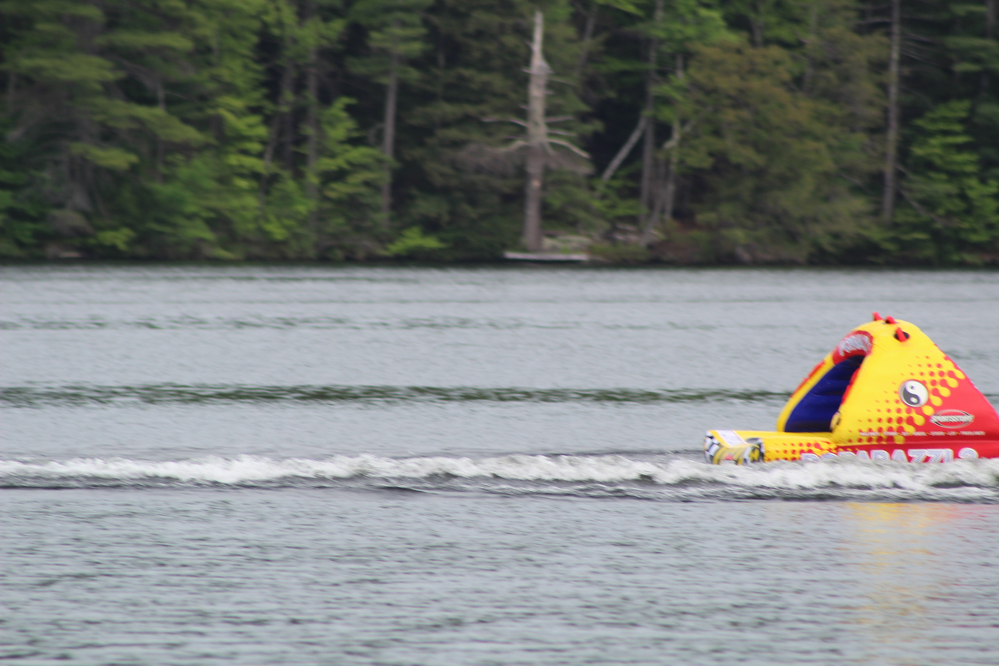 Canon EF 75-300mm f/4-5.6 sample photo. Img photography