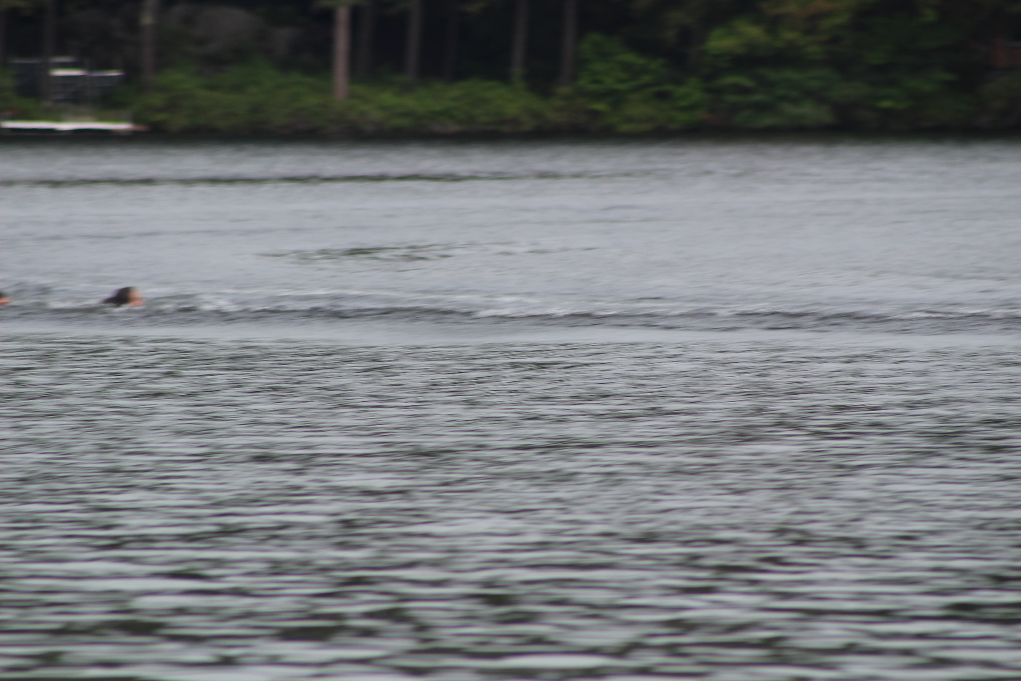 Canon EF 75-300mm f/4-5.6 sample photo. Img photography