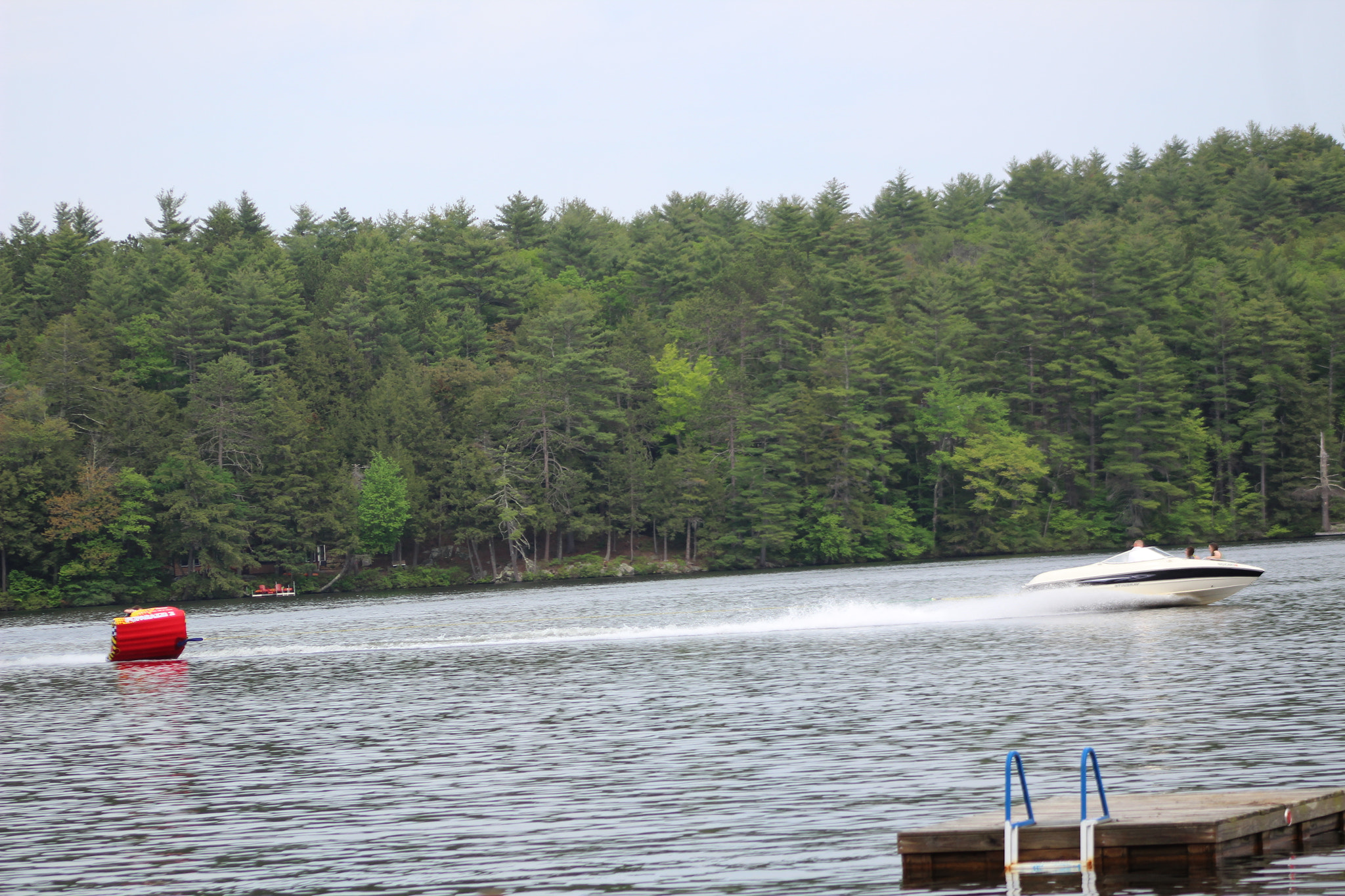 Canon EF 75-300mm f/4-5.6 sample photo. Img photography