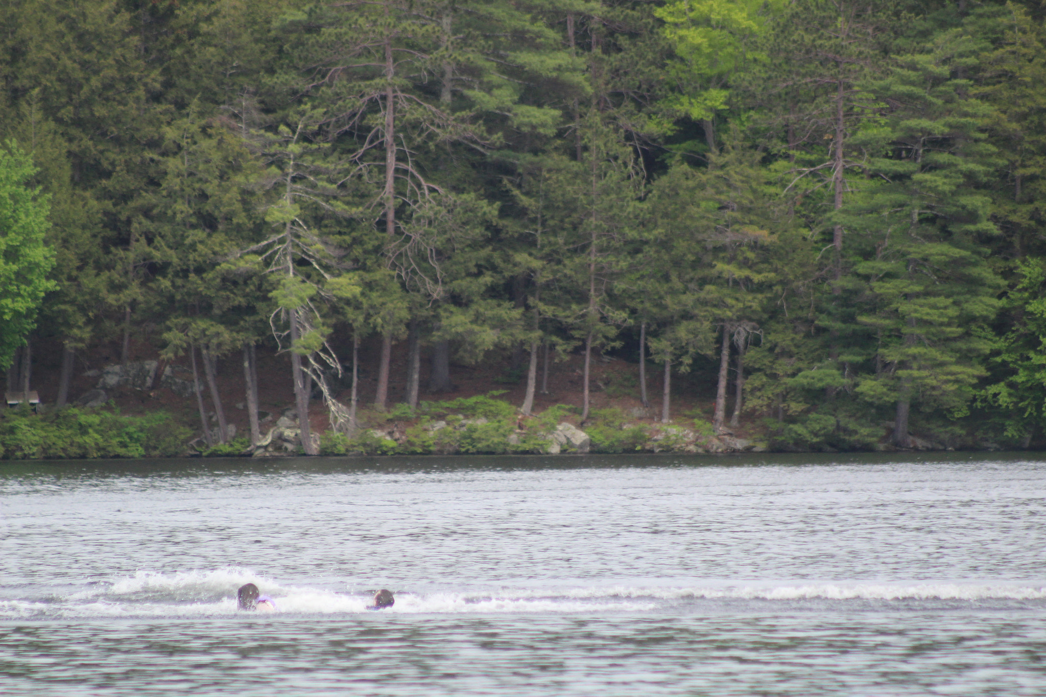 Canon EF 75-300mm f/4-5.6 sample photo. Img photography