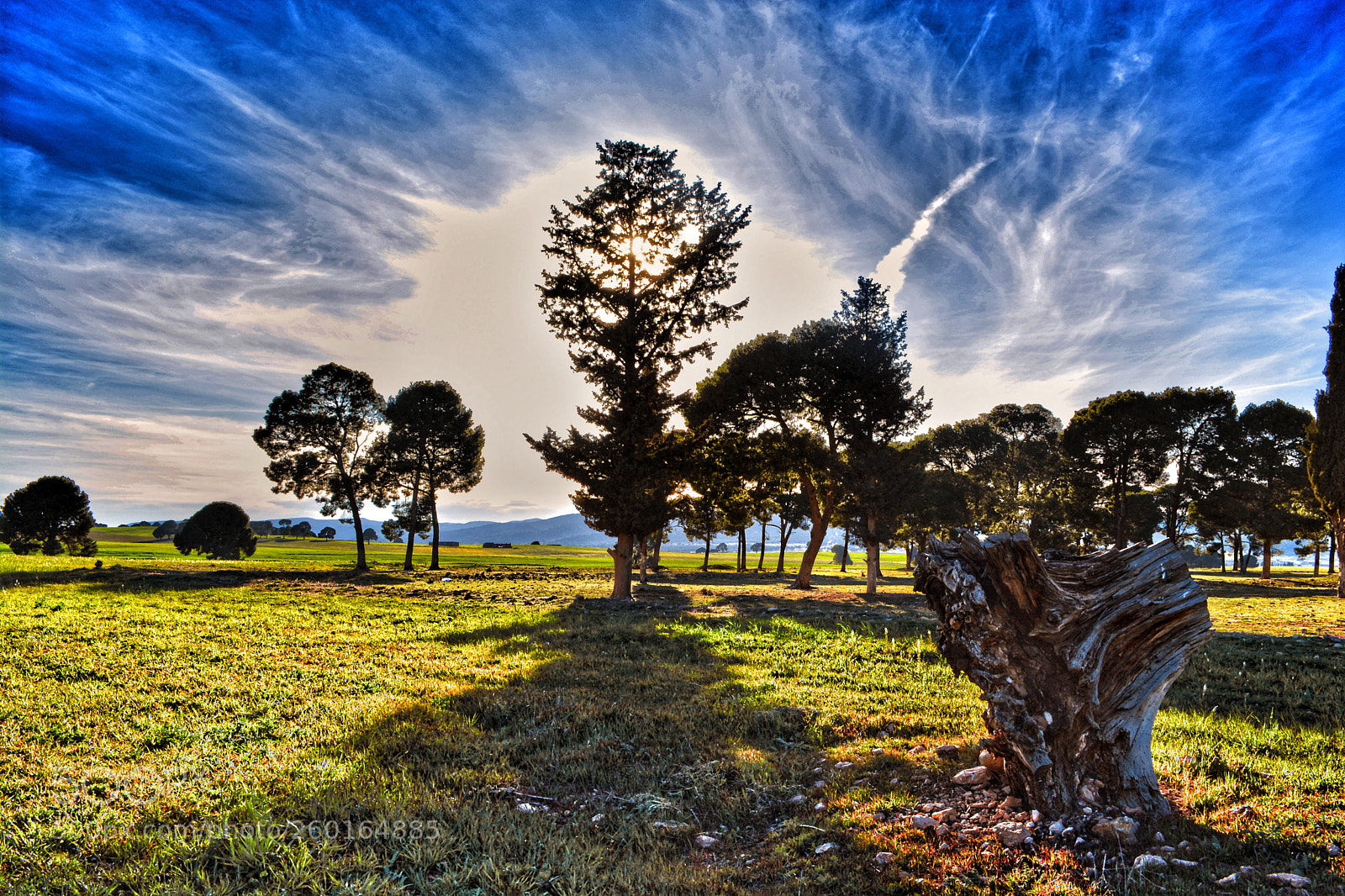 Nikon D5200 sample photo. Algerian nature beauty photography