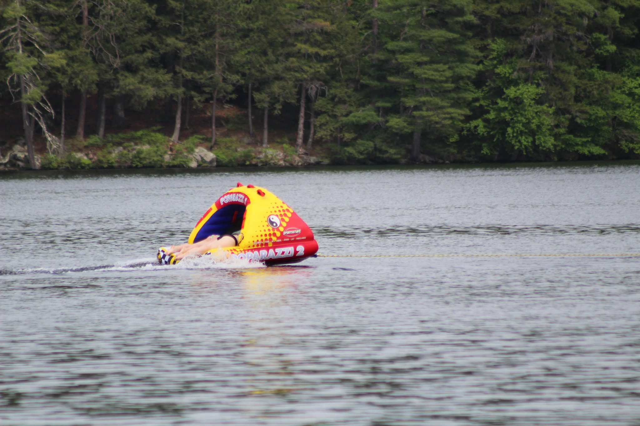 Canon EF 75-300mm f/4-5.6 sample photo. Img photography