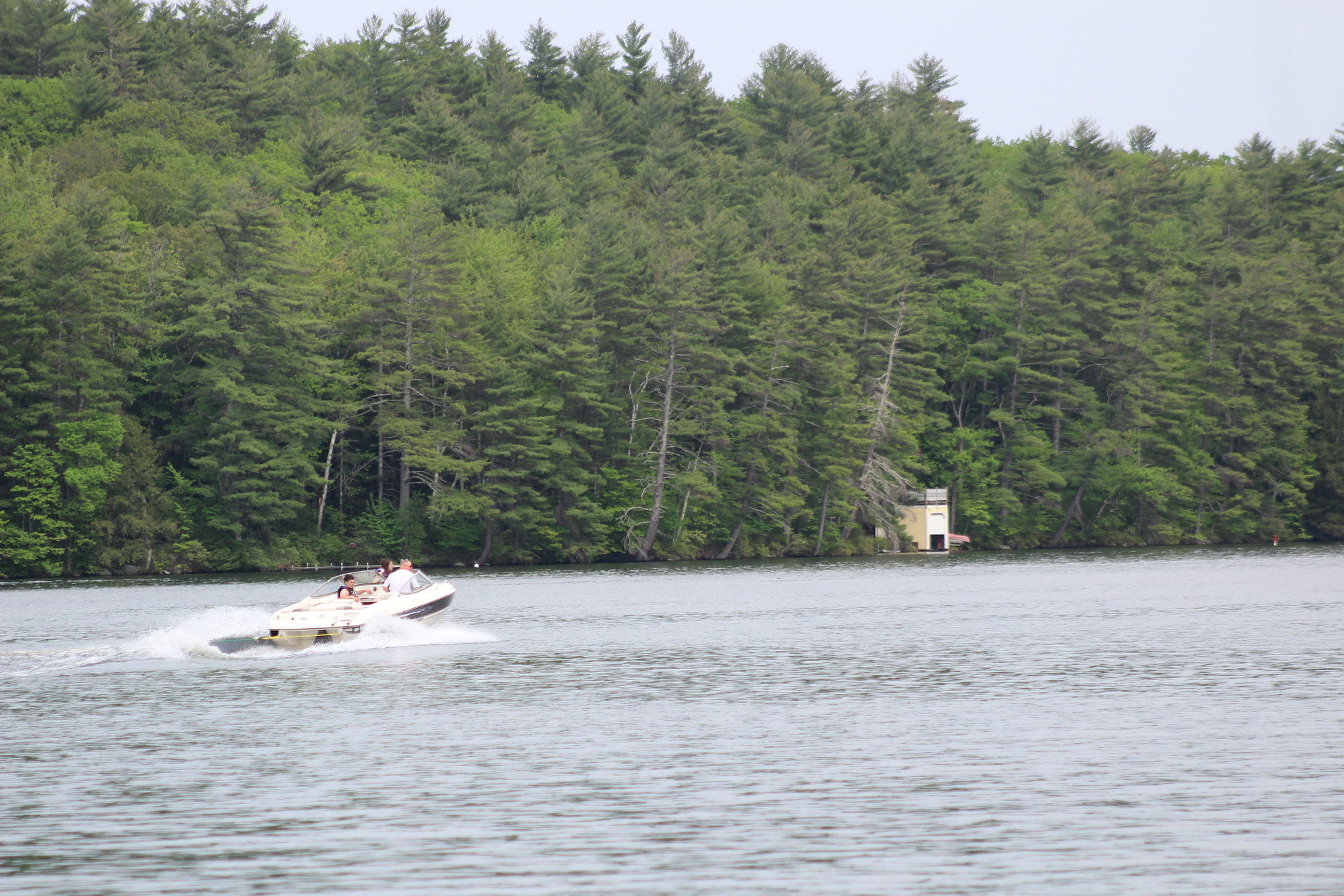 Canon EF 75-300mm f/4-5.6 sample photo. Img photography