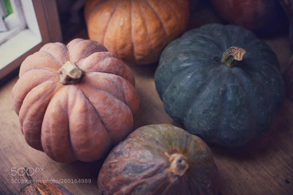Canon EOS 5D Mark II sample photo. Untitled photography