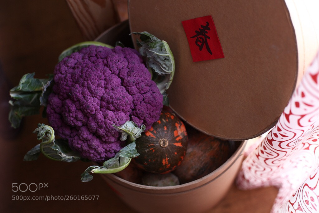Canon EOS 5D Mark II sample photo. Untitled photography