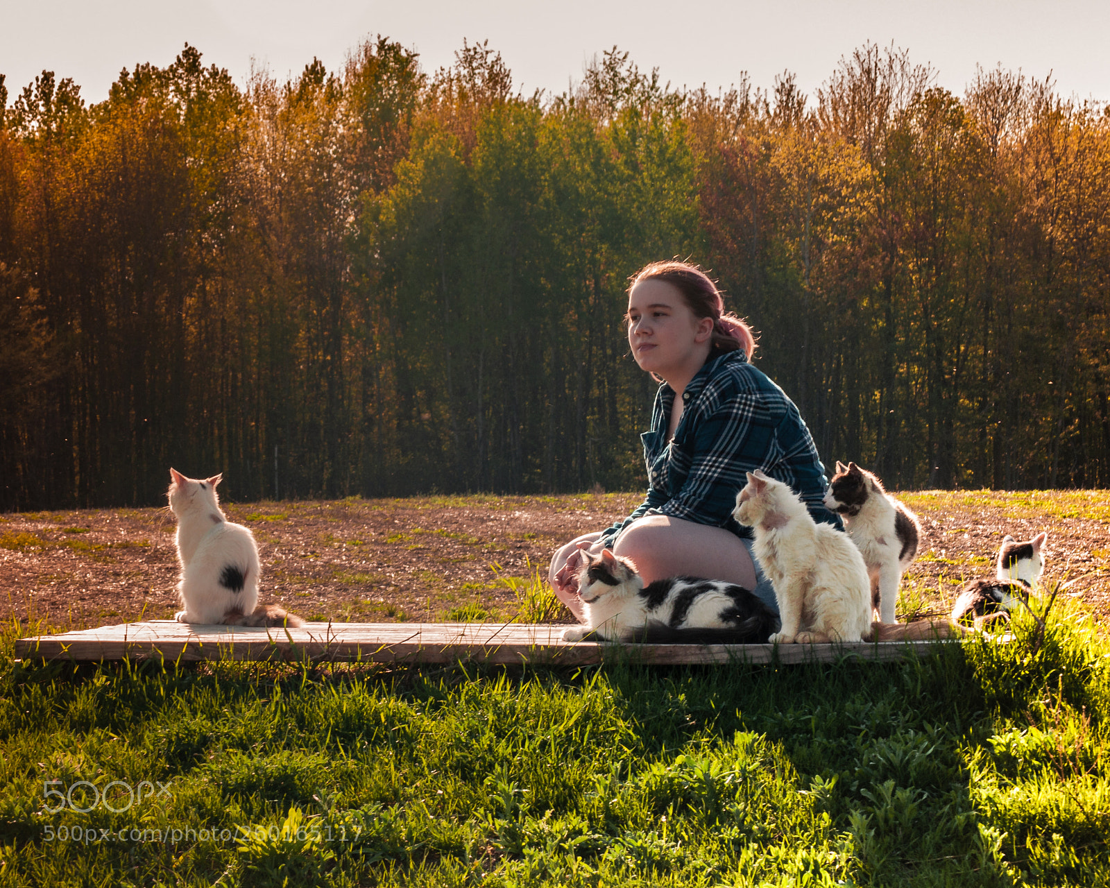 Nikon D5000 sample photo. Cat girl photography