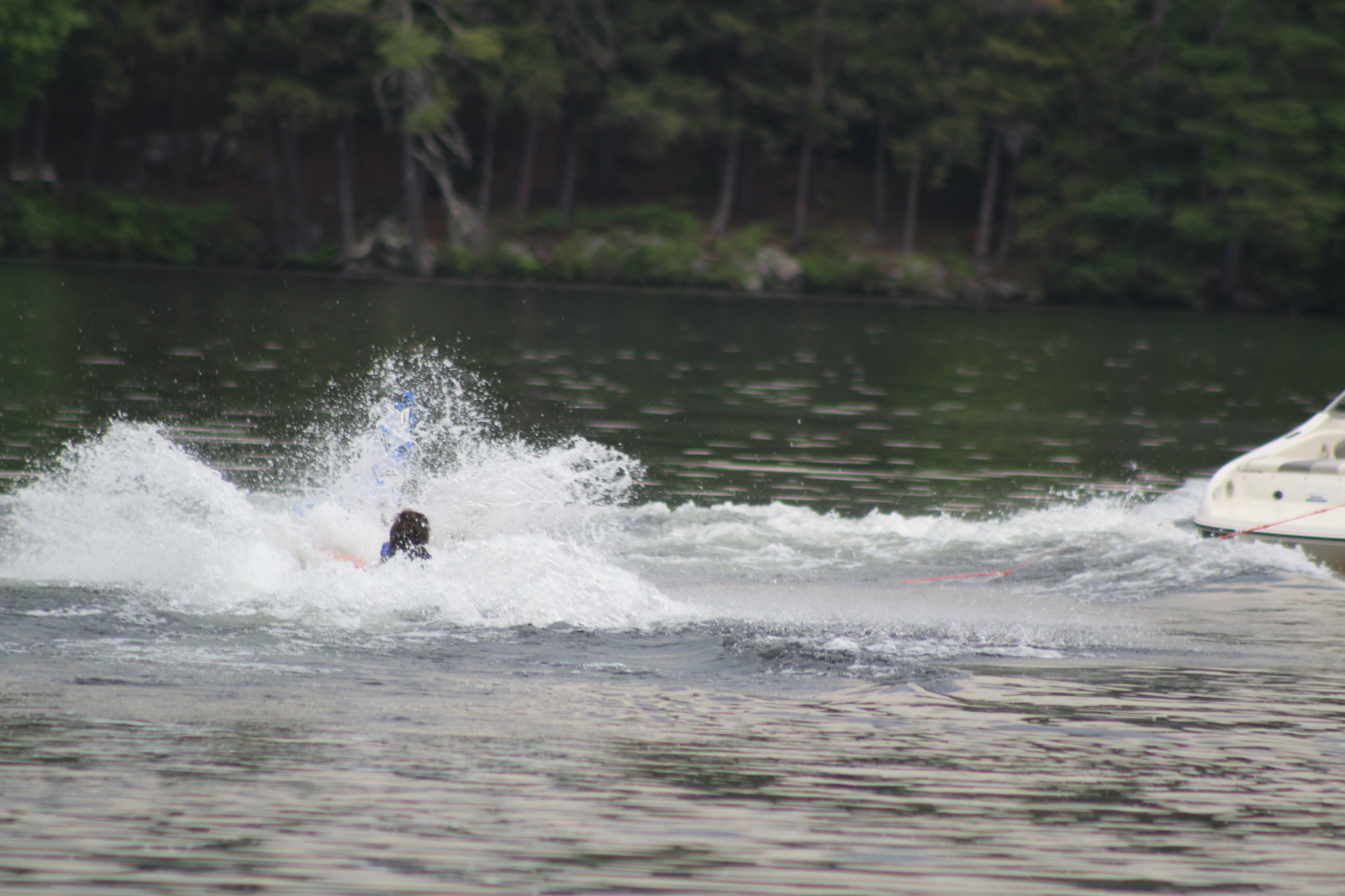 Canon EF 75-300mm f/4-5.6 sample photo. Img photography