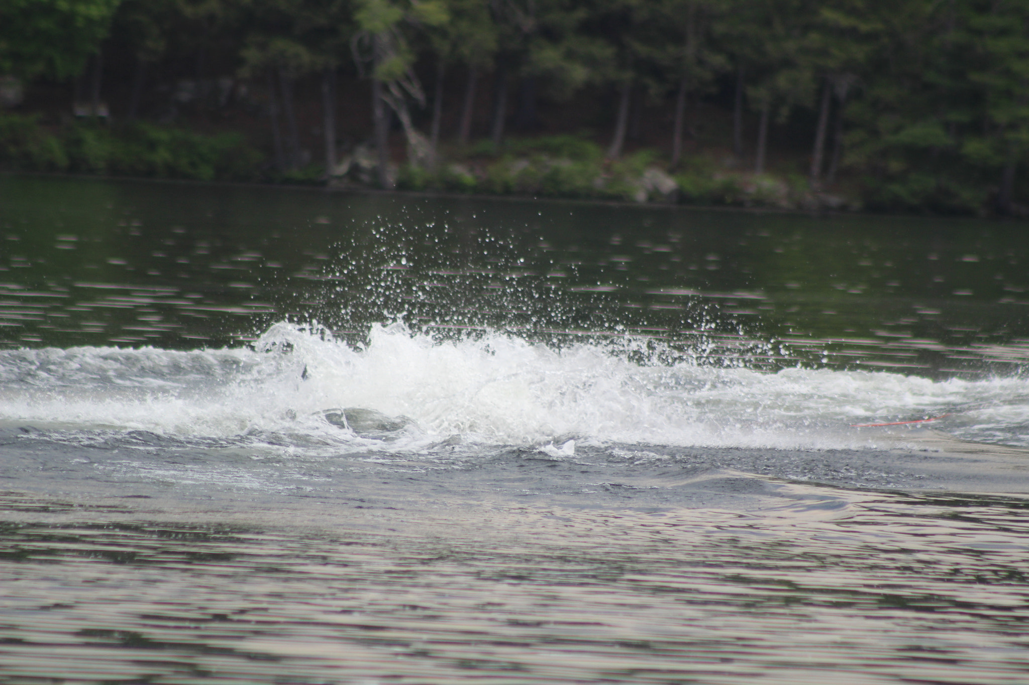 Canon EF 75-300mm f/4-5.6 sample photo. Img photography