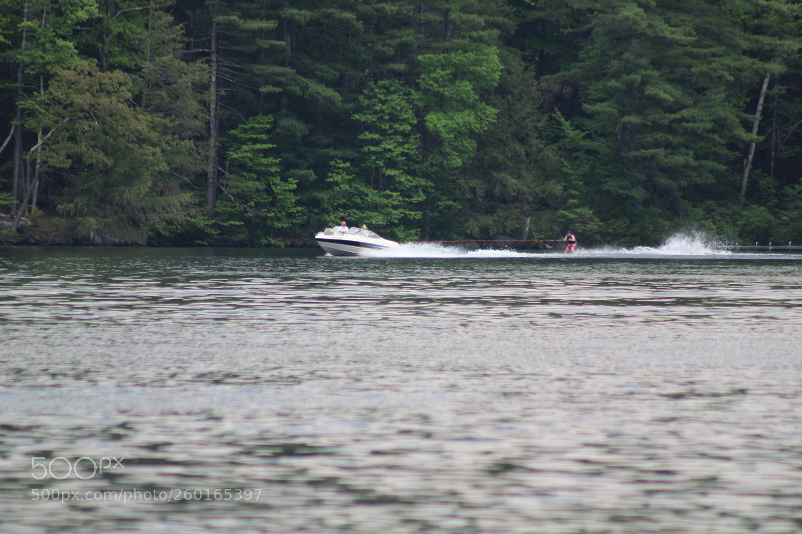 Canon EF 75-300mm f/4-5.6 sample photo. Img photography