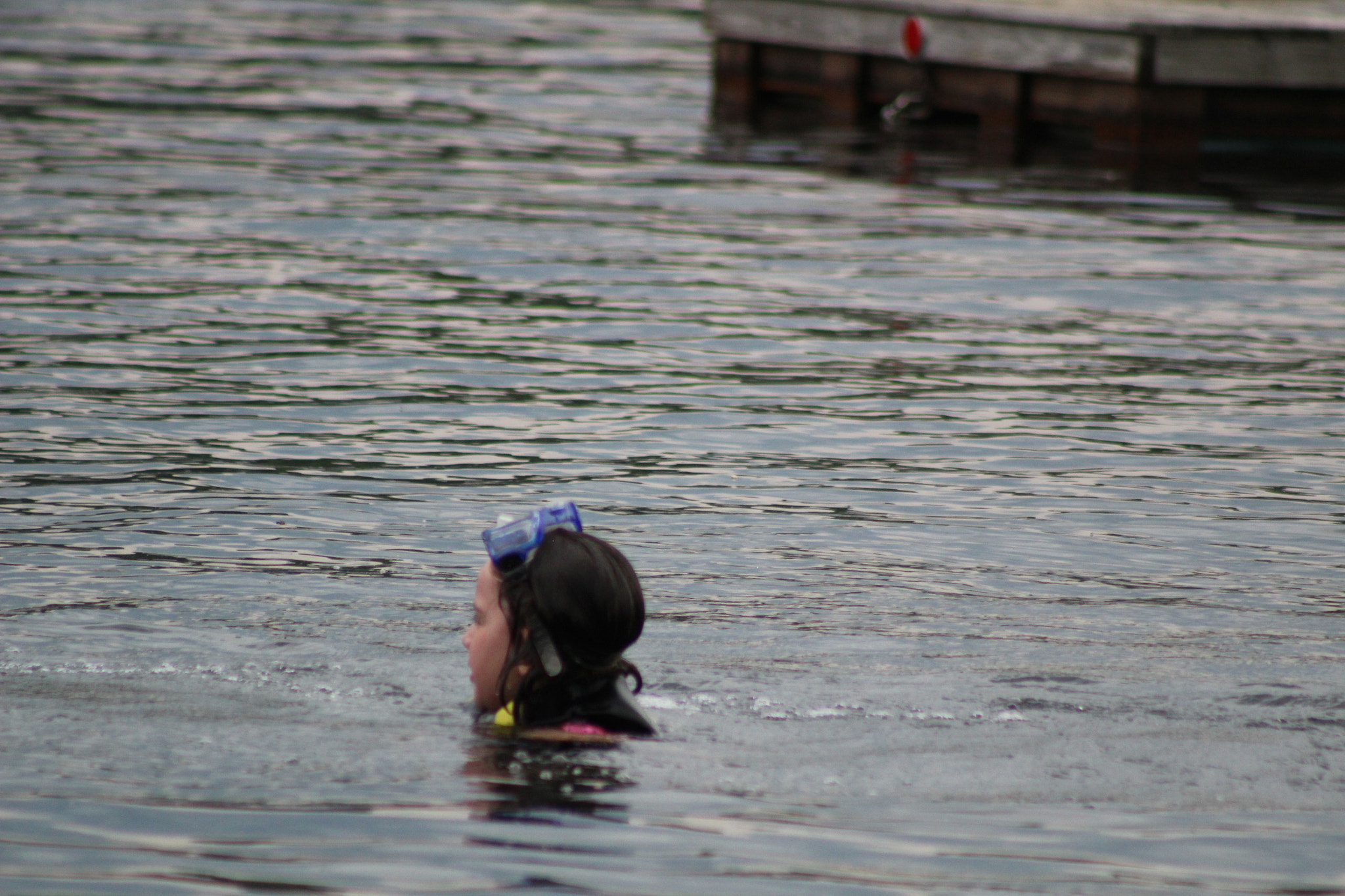 Canon EF 75-300mm f/4-5.6 sample photo. Img photography