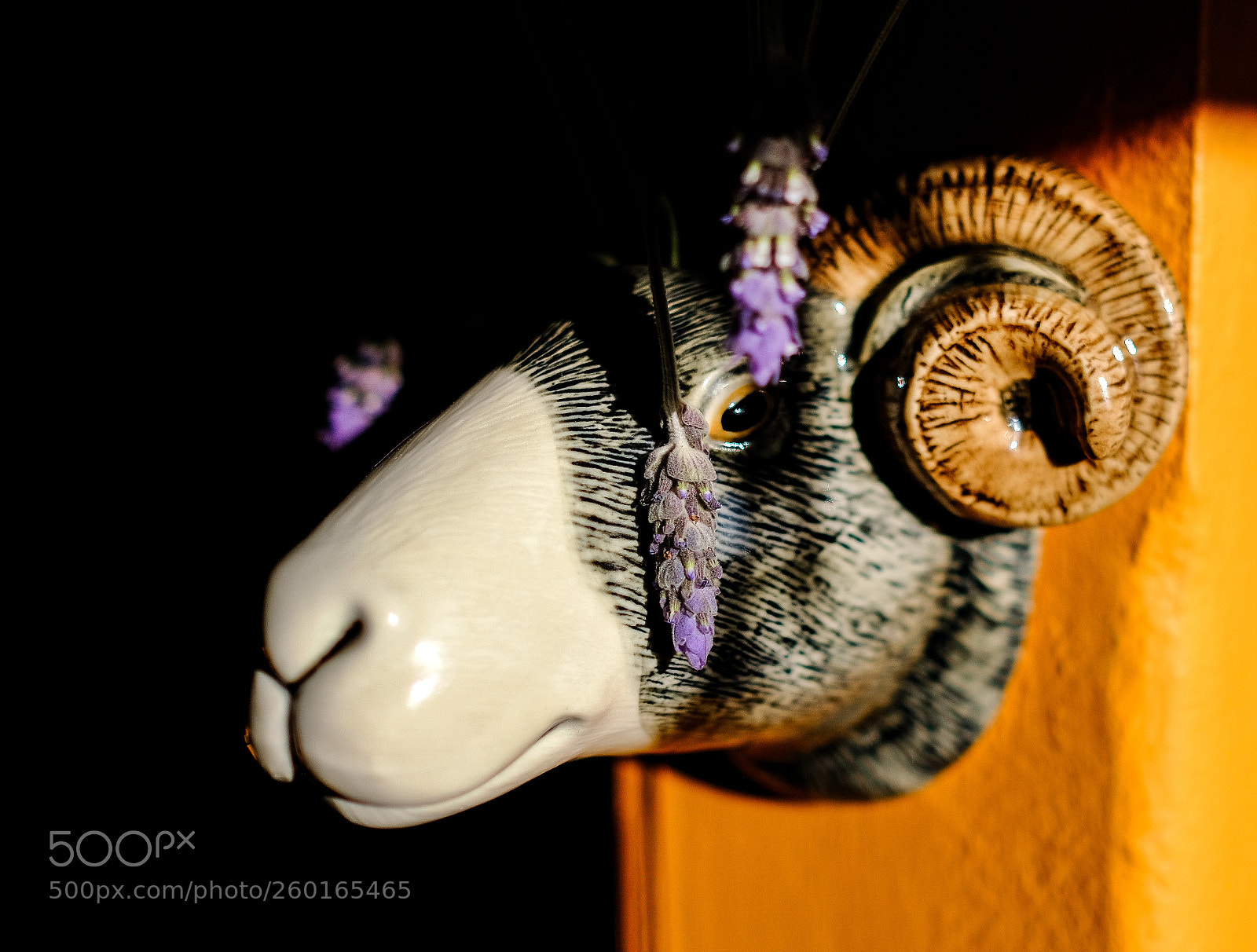 Fujifilm X-Pro2 sample photo. The goat vase photography
