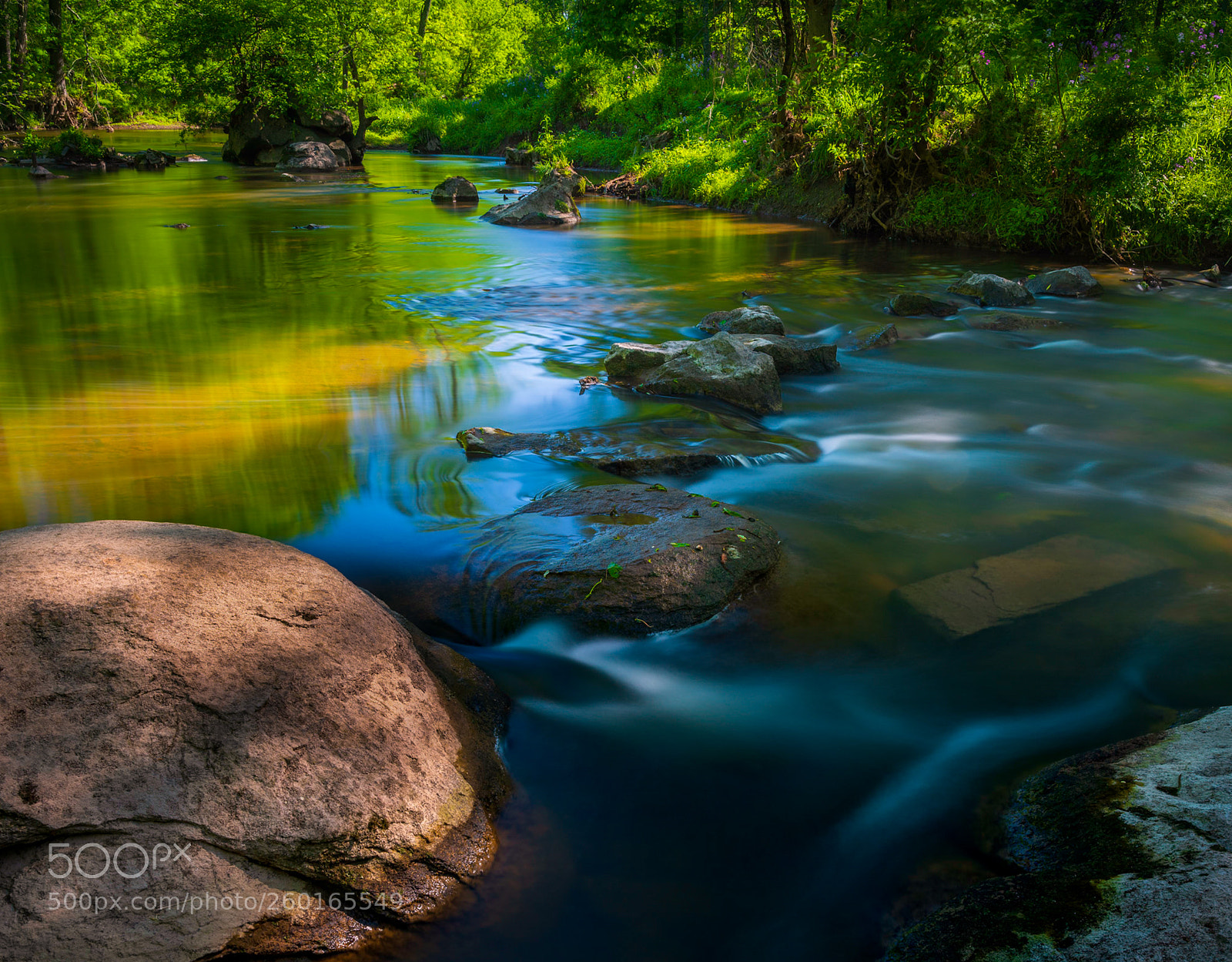 Fujifilm GFX 50S sample photo. Stream in woods photography