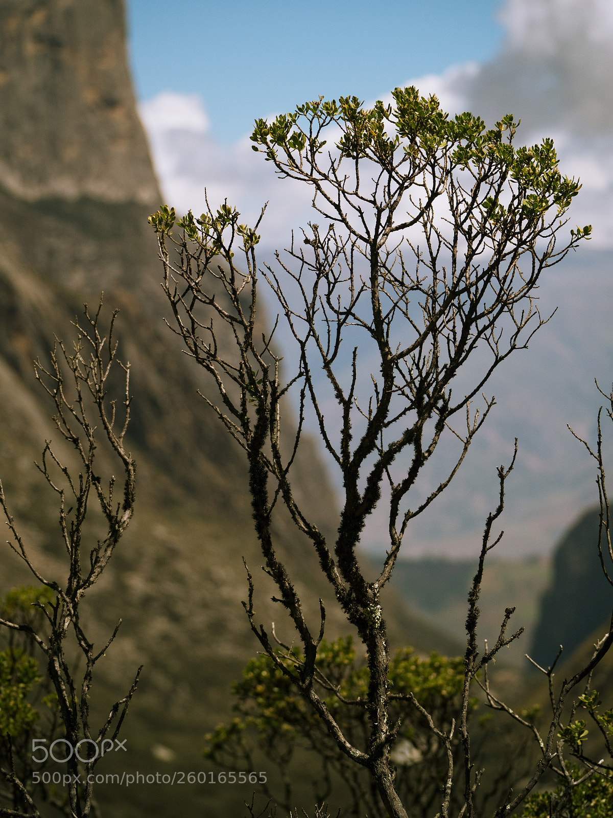 Olympus OM-D E-M5 II sample photo. Paron, peru photography