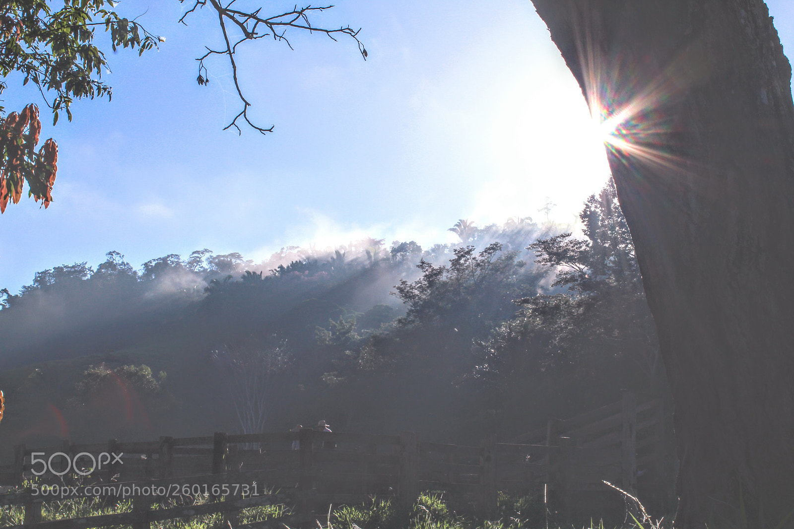 Canon EOS 1300D (EOS Rebel T6 / EOS Kiss X80) sample photo. Sunrise on the farm photography