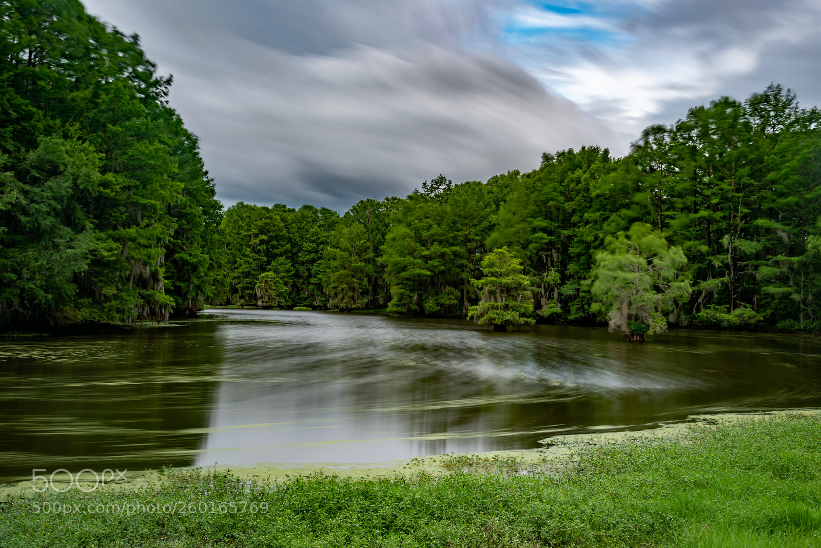 Nikon D810 sample photo. Lake blackshear photography