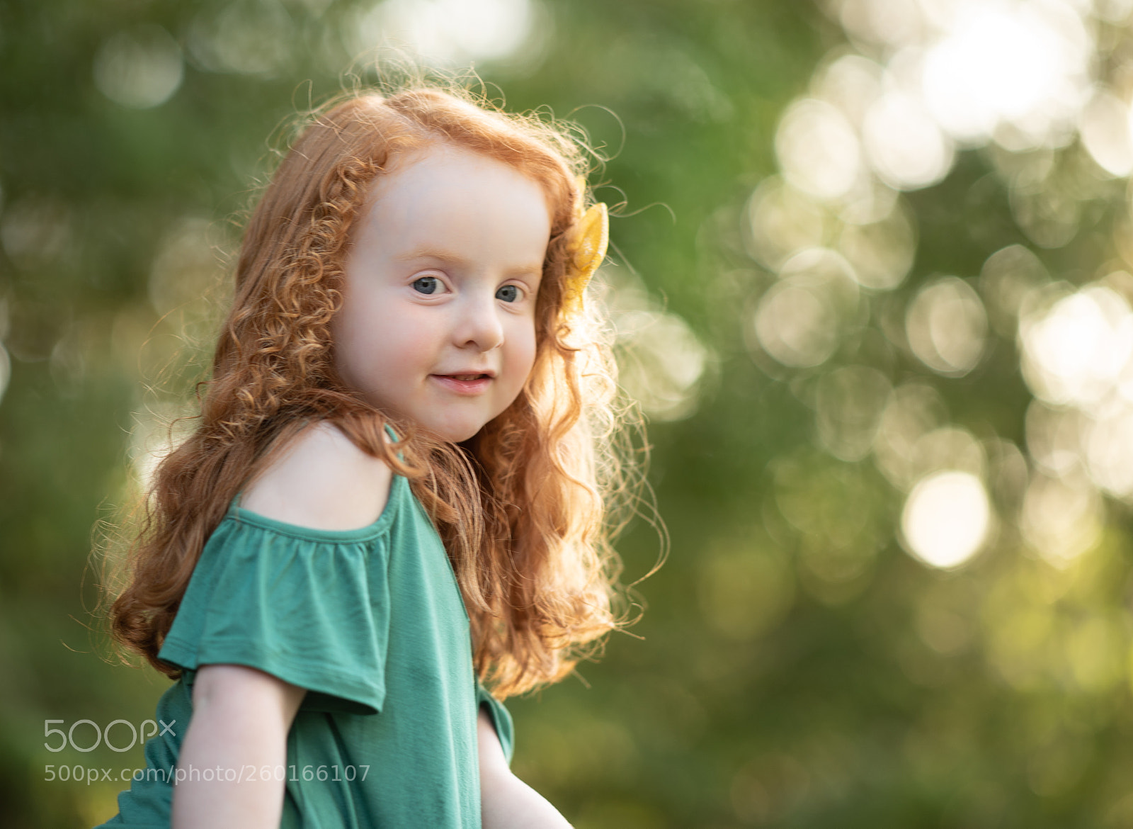 Nikon D750 sample photo. Poppy photography