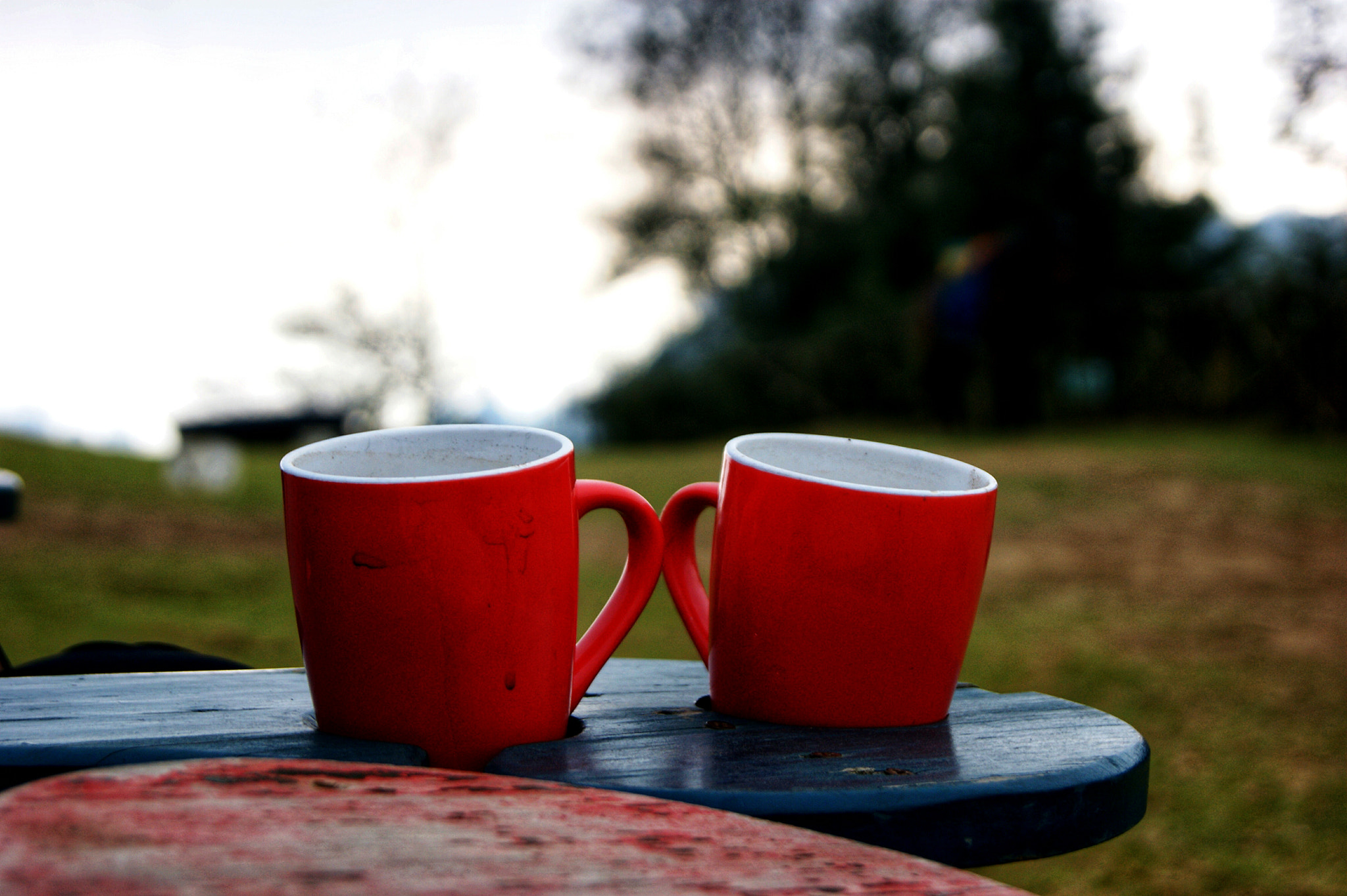Sony Alpha DSLR-A290 sample photo