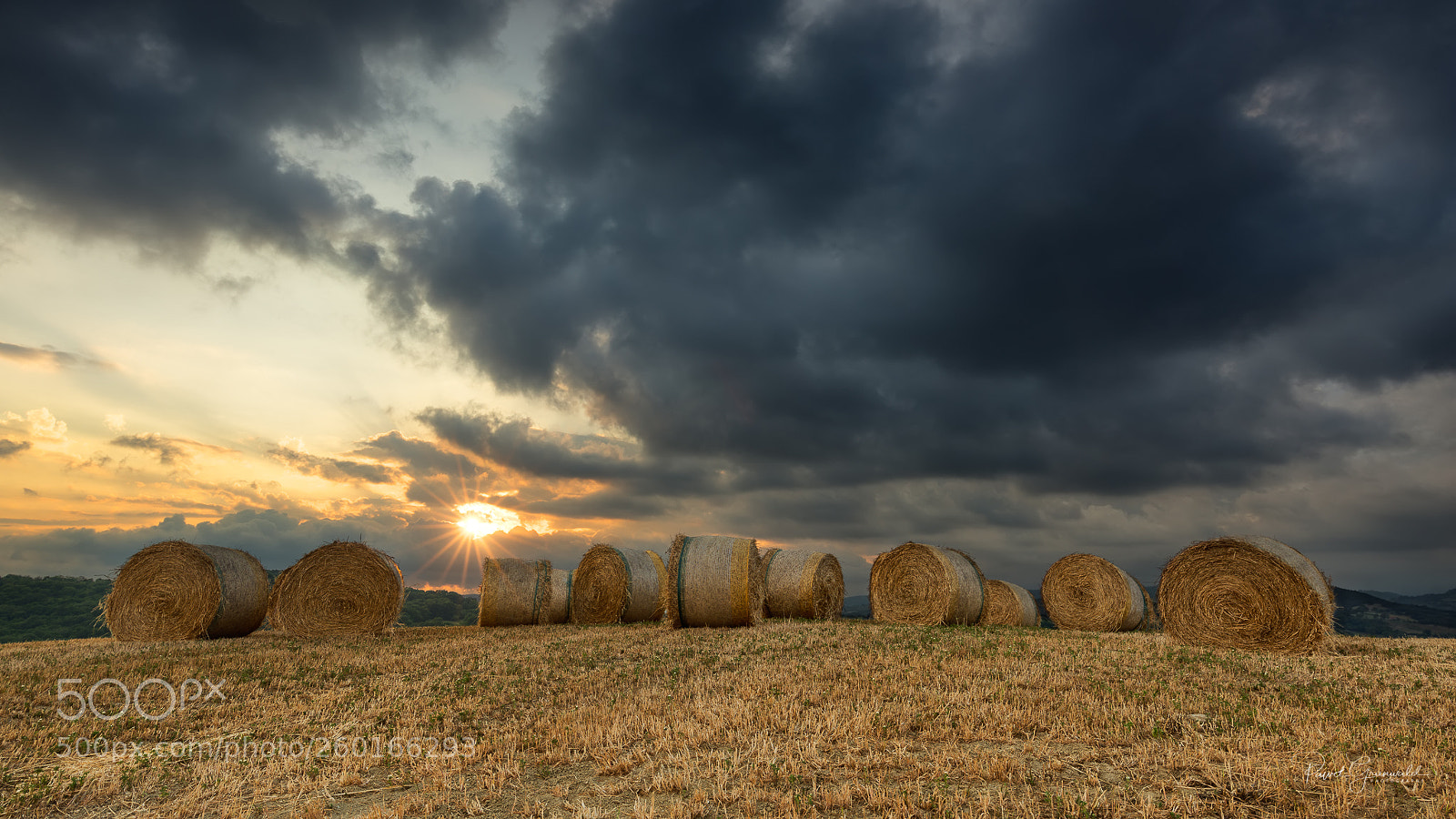 Nikon D810 sample photo. Rolls photography