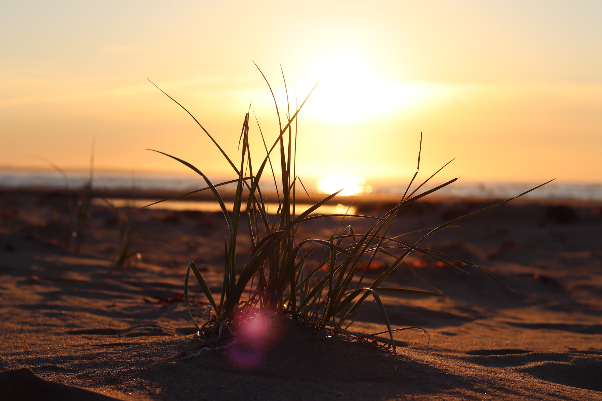 Canon EOS 200D (EOS Rebel SL2 / EOS Kiss X9) sample photo. Prince edward island sunset photography