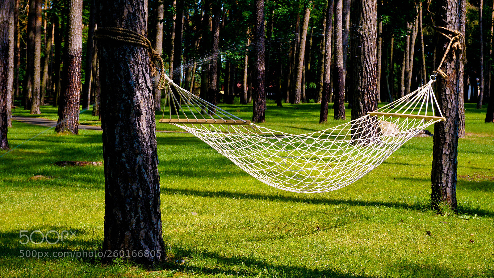 Sony a6000 sample photo. Relax photography