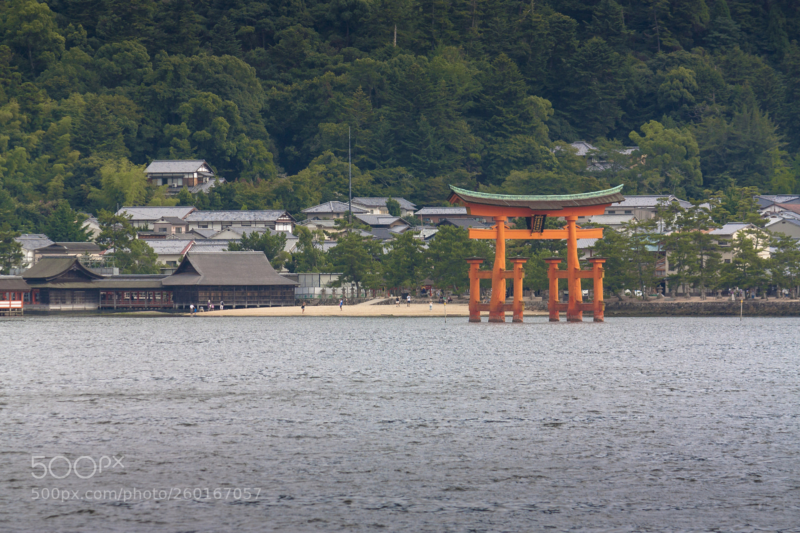 Canon EOS 450D (EOS Rebel XSi / EOS Kiss X2) sample photo. Miyajima photography