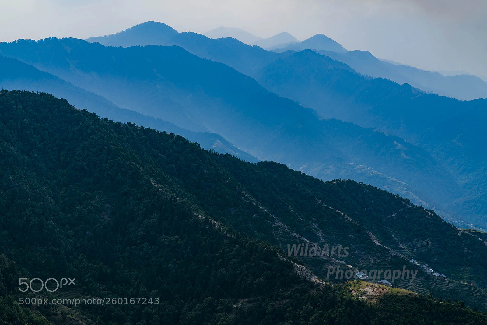 Sony a7R II sample photo. Dsc photography