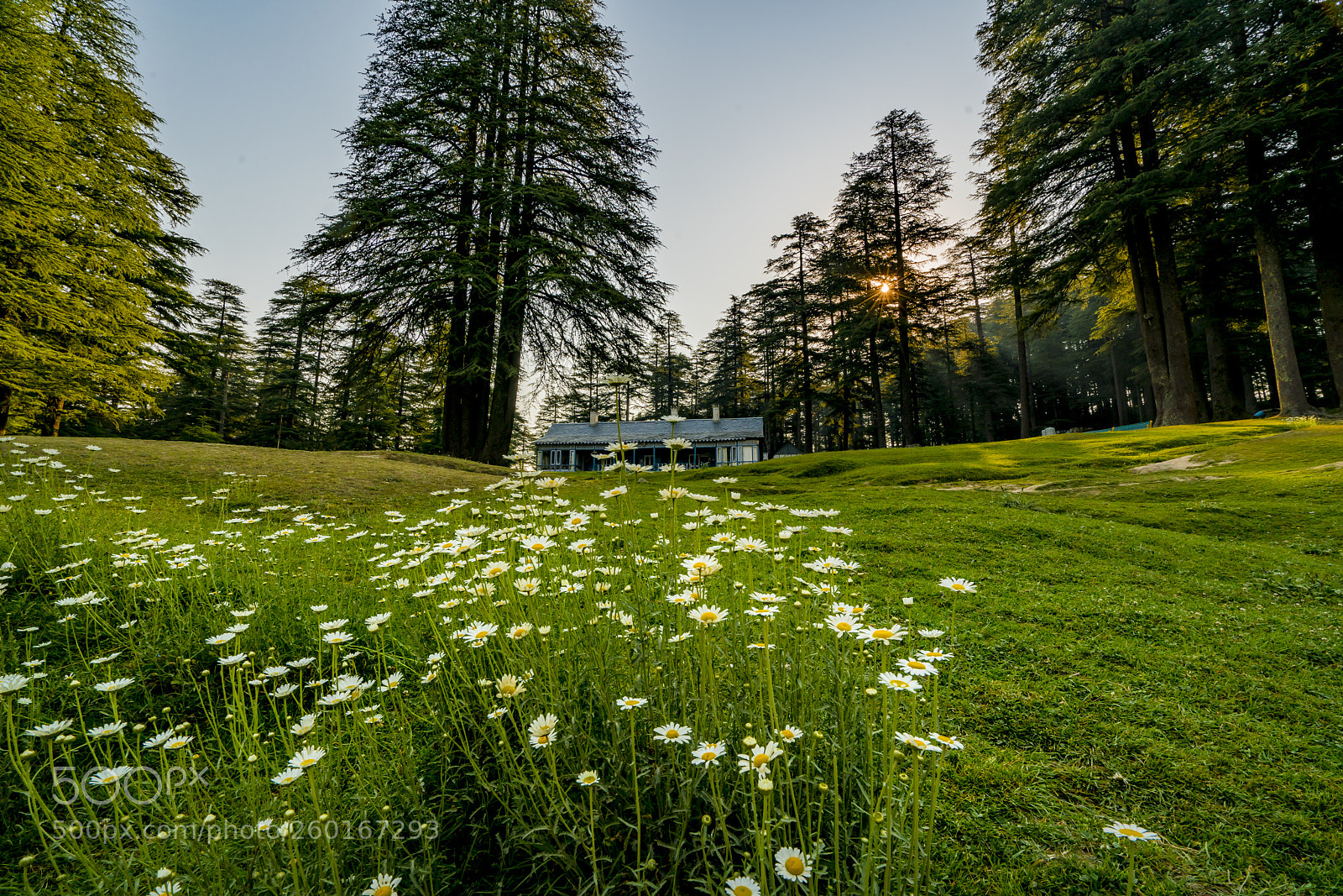 Sony a7R II sample photo. Dsc photography