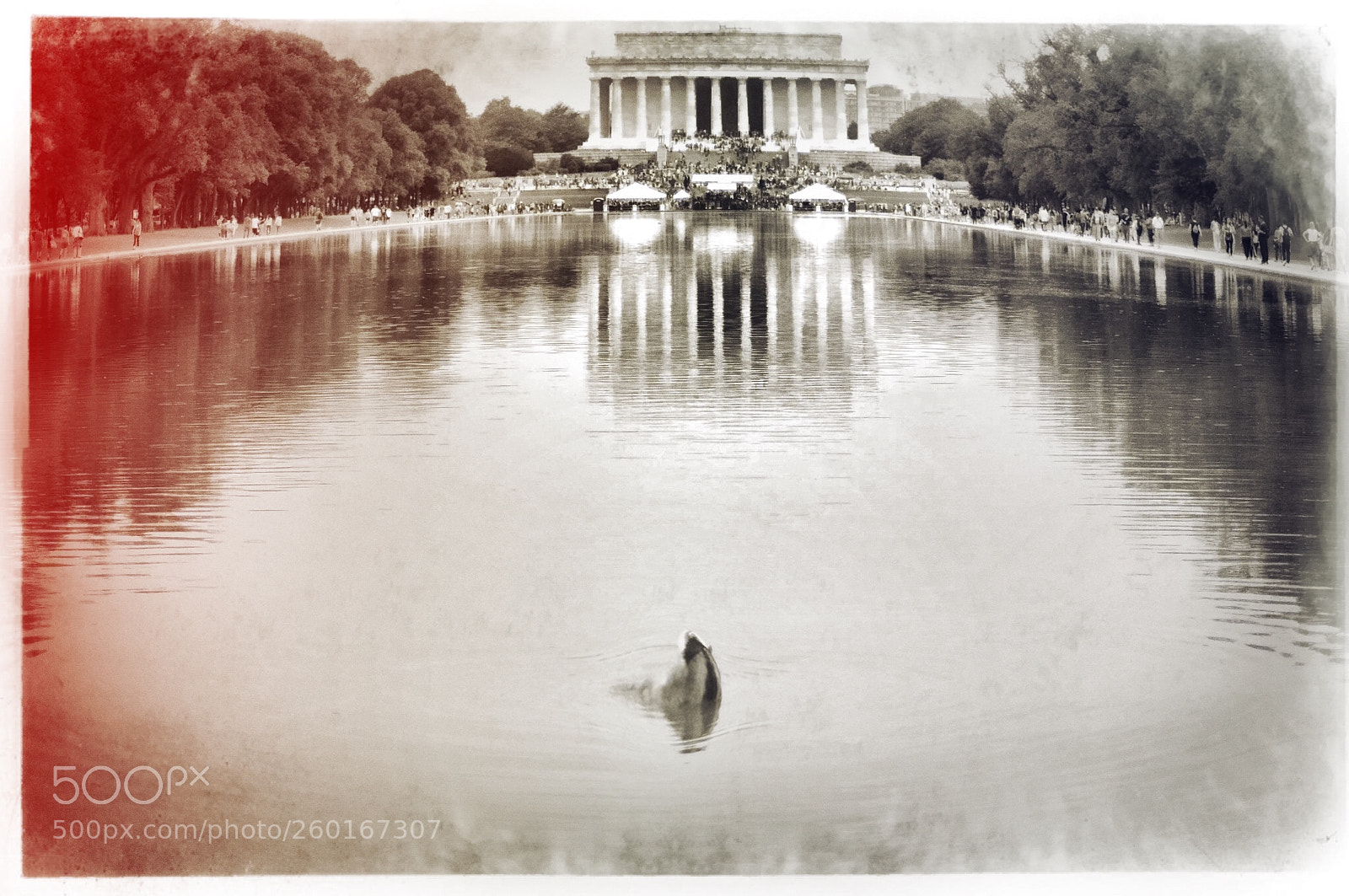 Olympus OM-D E-M10 II sample photo. Memorial reflection photography