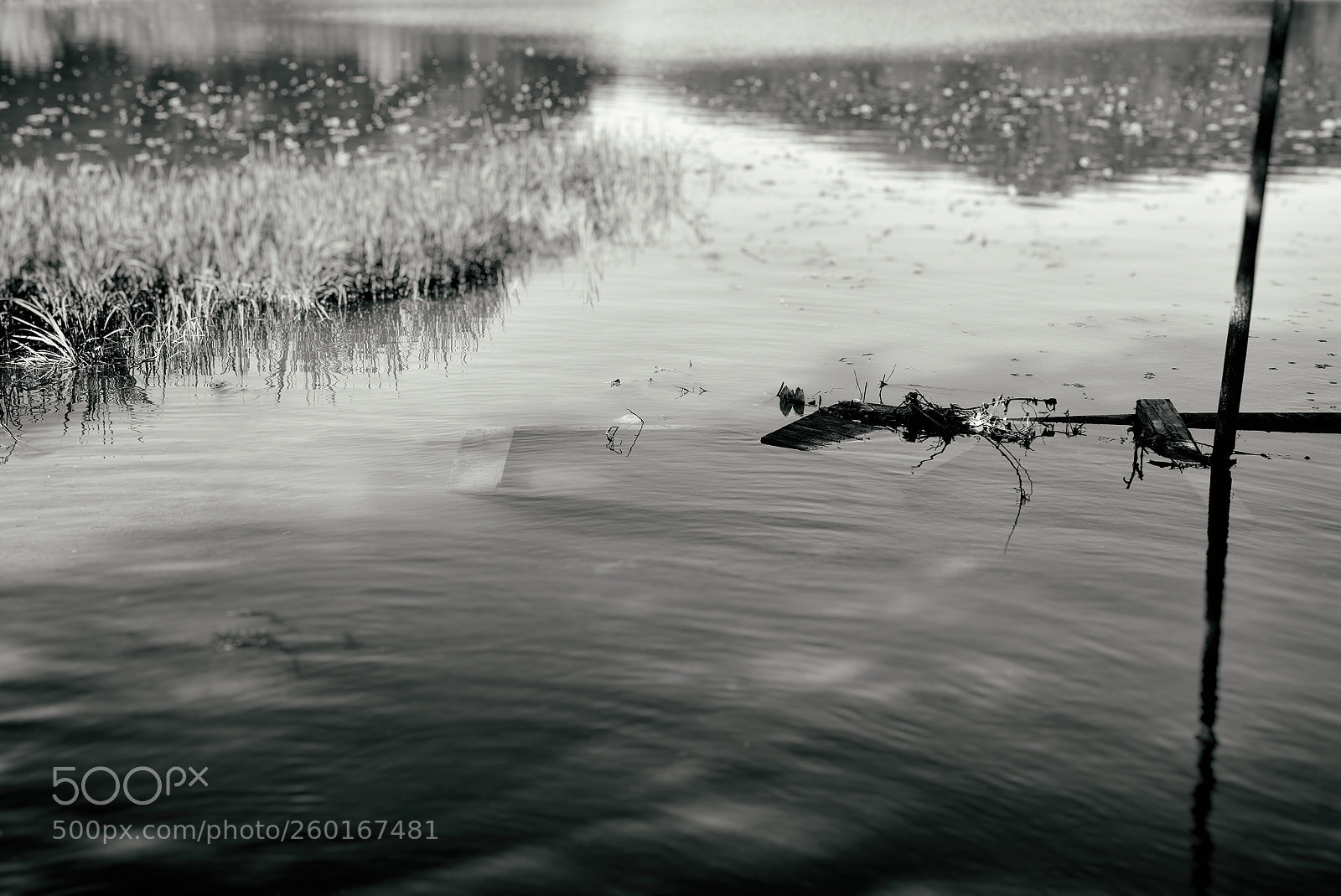 Nikon D810 sample photo. Silence. photography