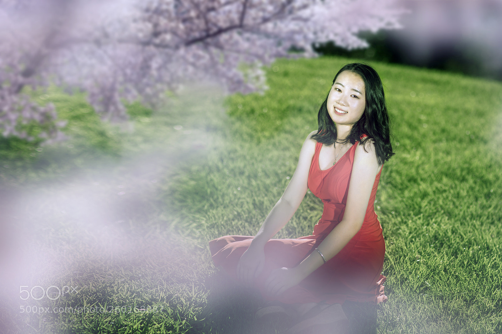 Canon EOS 5D Mark IV sample photo. 樱花树下 photography