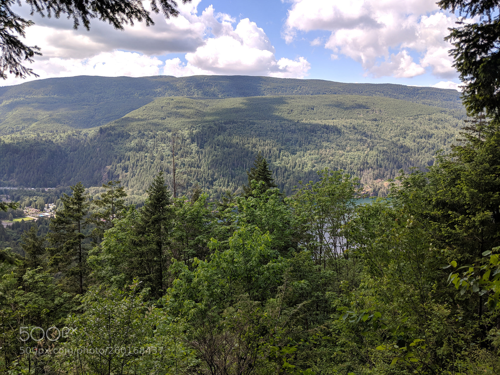 Google Pixel 2 sample photo. Teapot hill photography