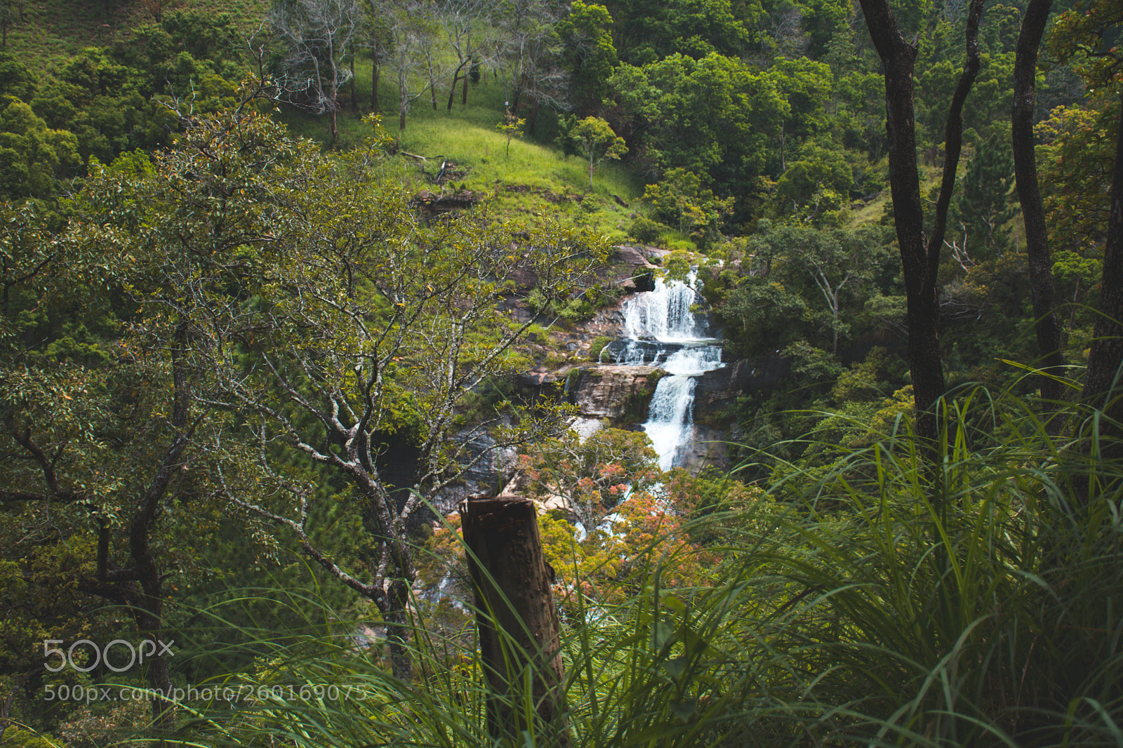 Nikon D7500 sample photo. Wild nature beauty photography