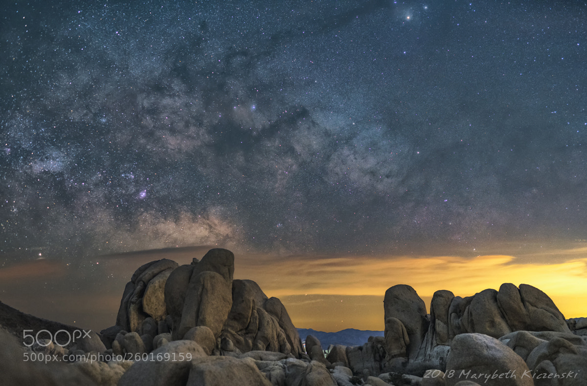 Nikon D850 sample photo. Milky way at joshua photography