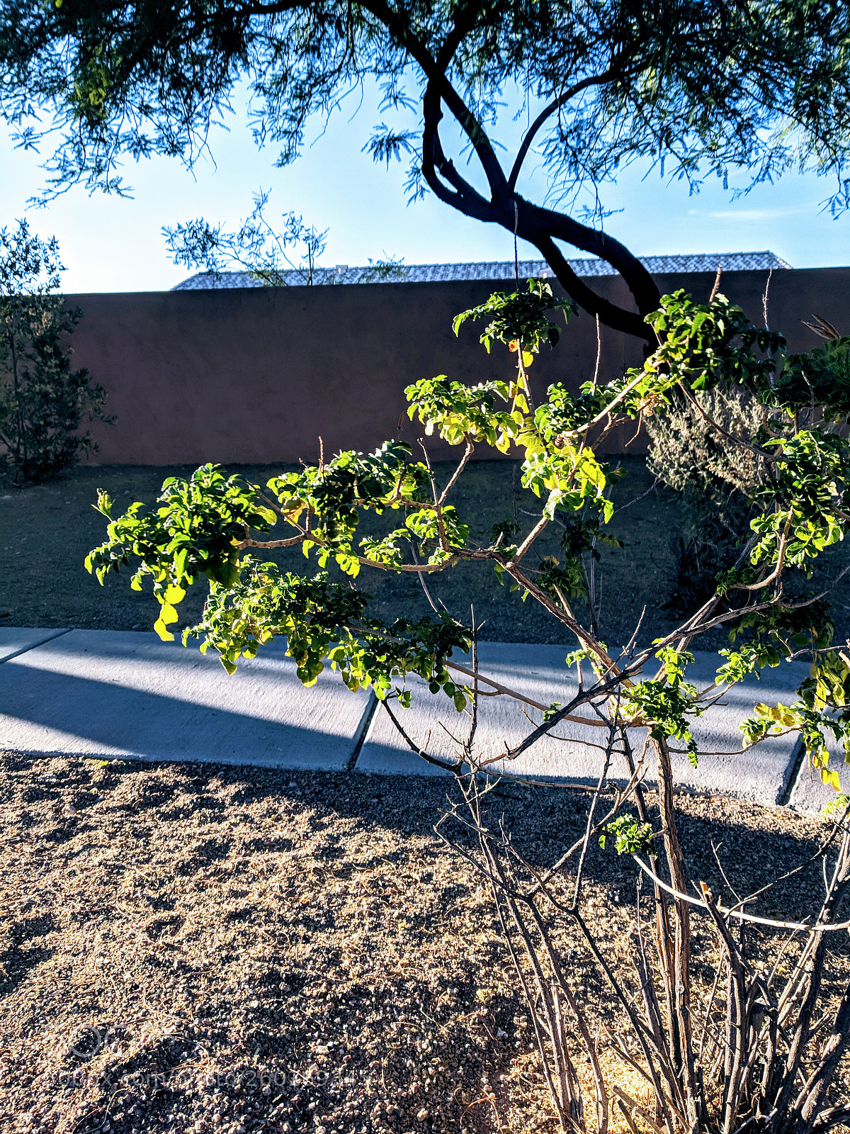Google Pixel sample photo. Almost sundown photography