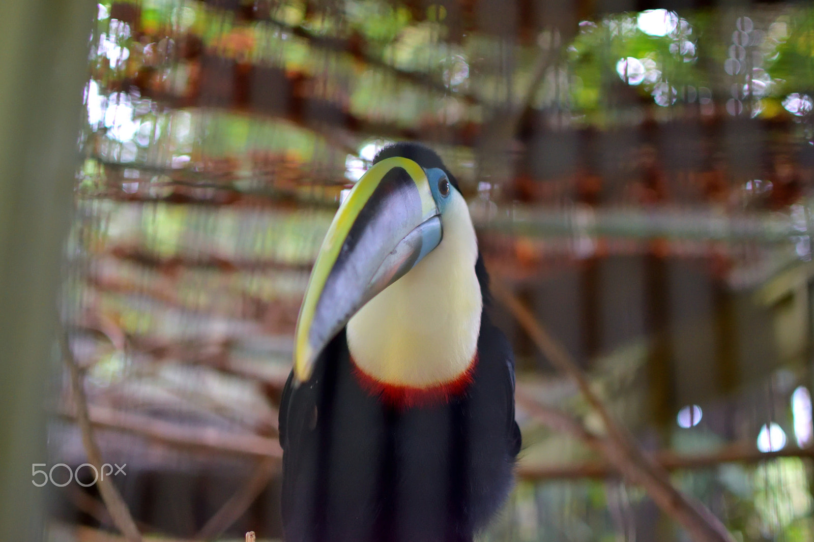 Nikon D5300 + Nikon AF-S DX Nikkor 35mm F1.8G sample photo. Tucano photography